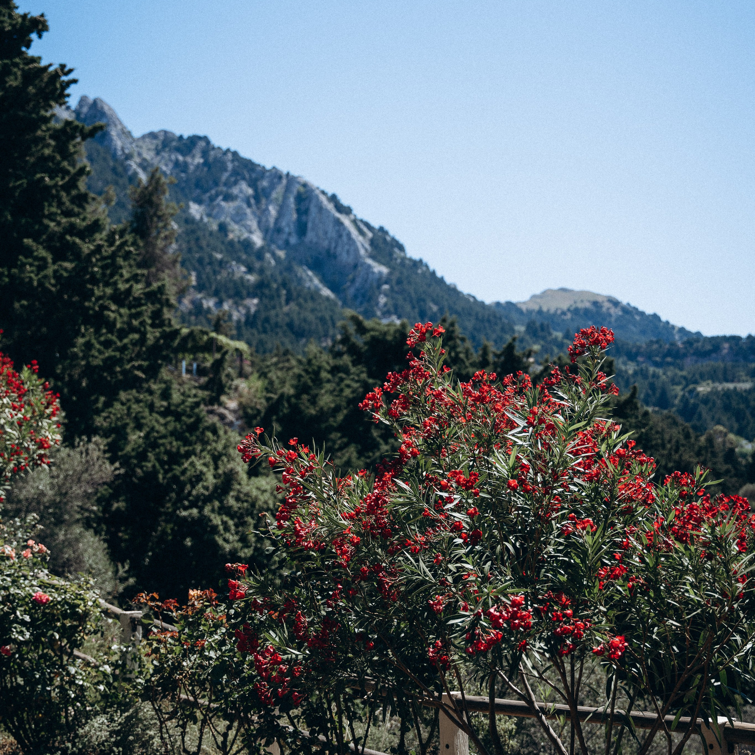 Остров Кос — Греция 🇬🇷. Anita_photo