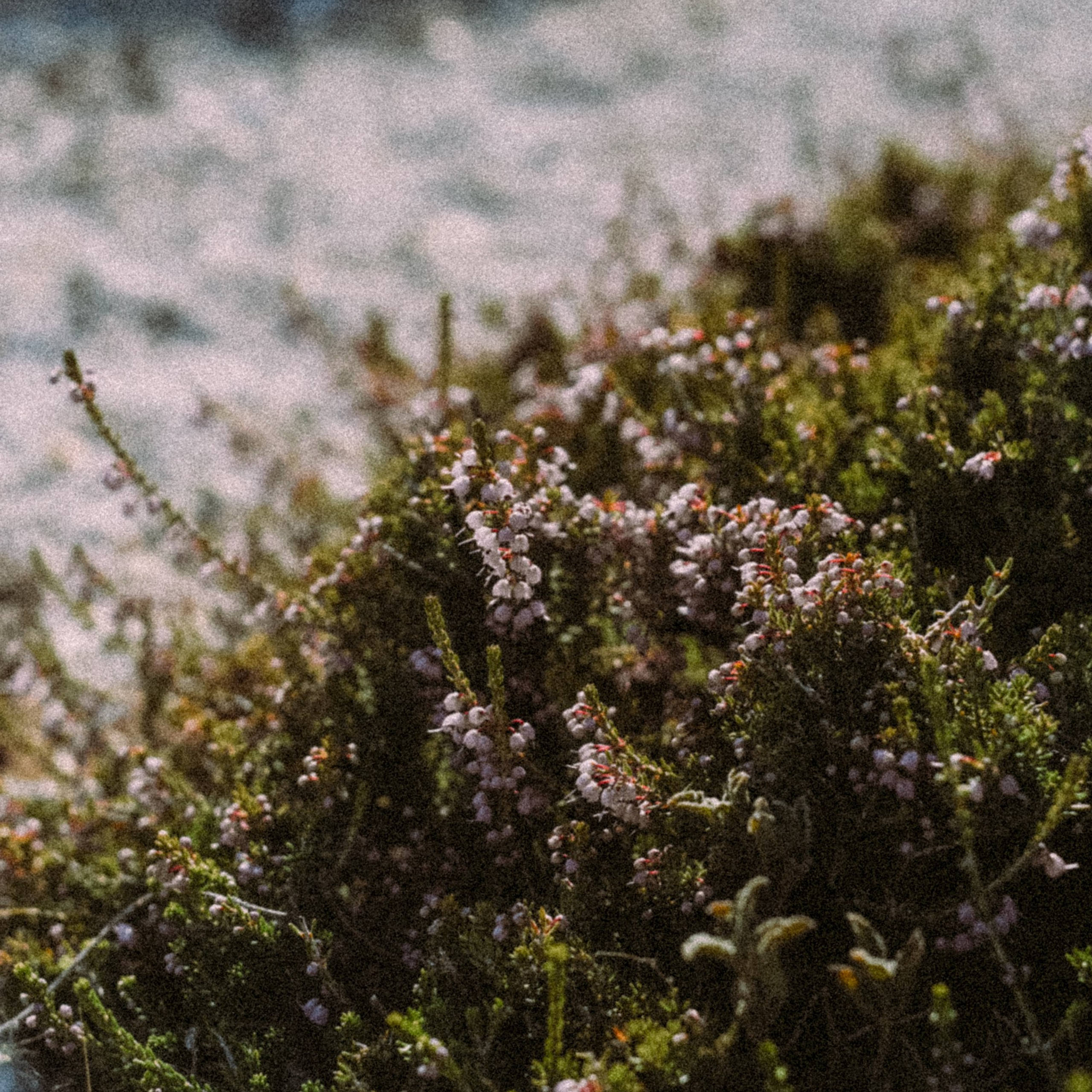 Нисирос. Anita_photo