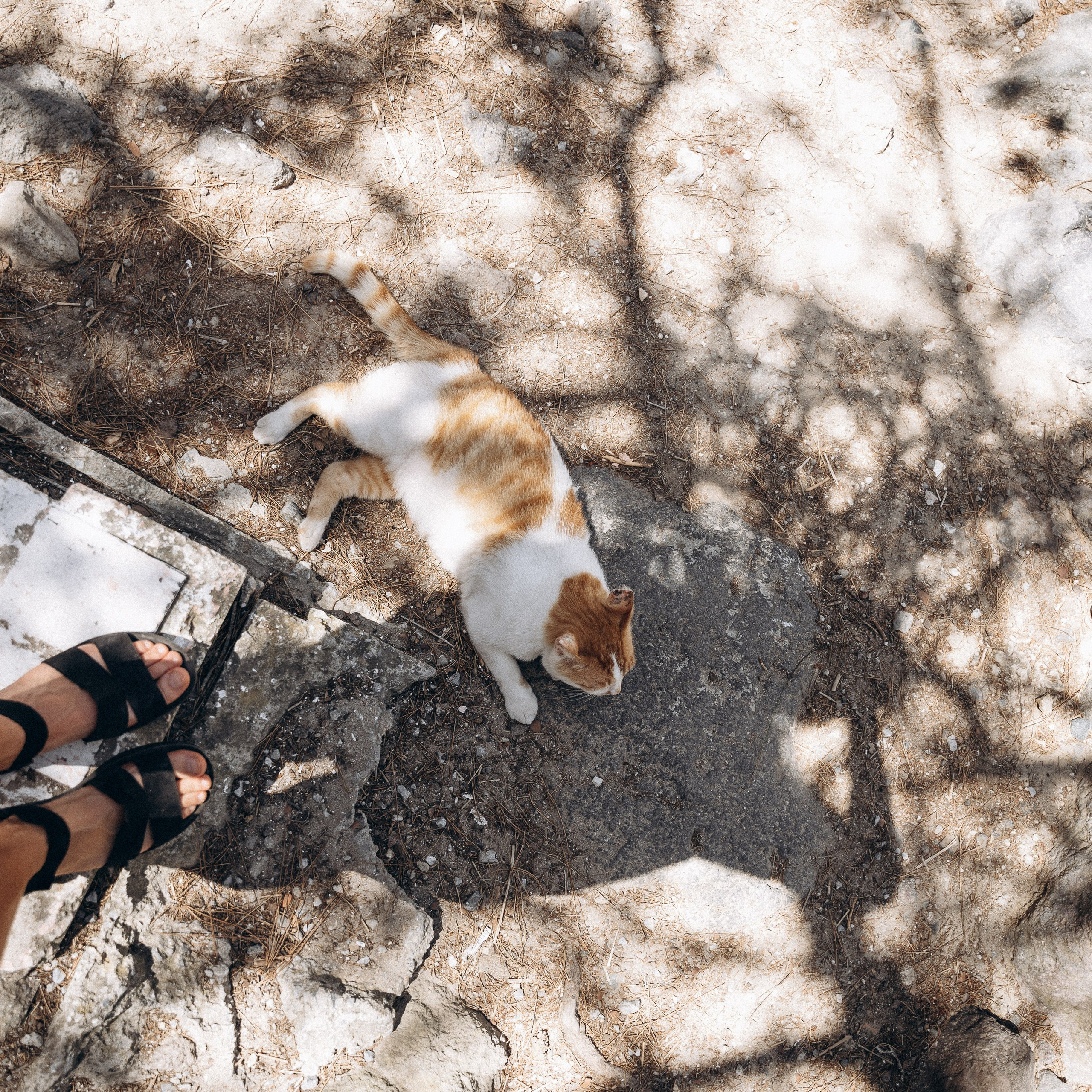 Остров Кос — Греция 🇬🇷. Anita_photo
