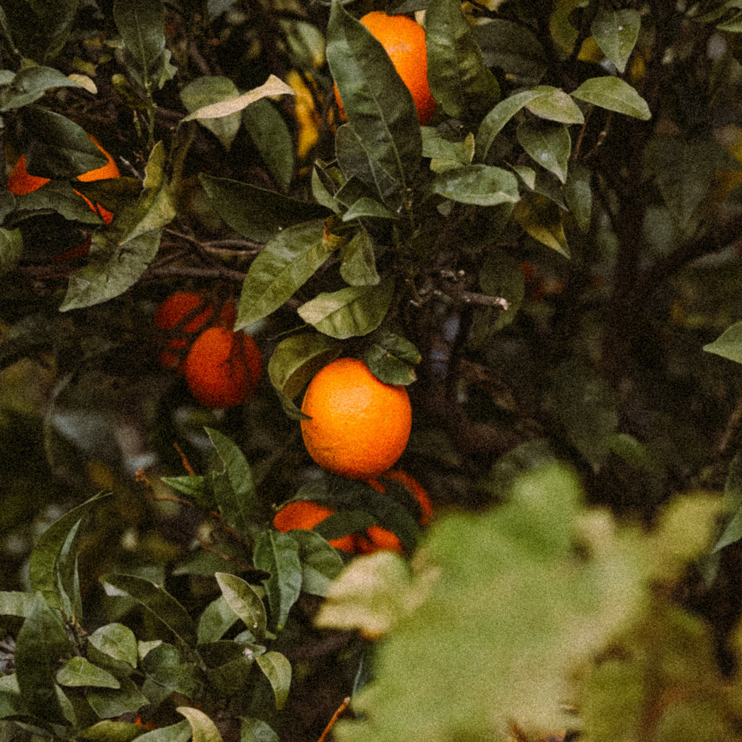 Остров Кос — Греция 🇬🇷. Anita_photo