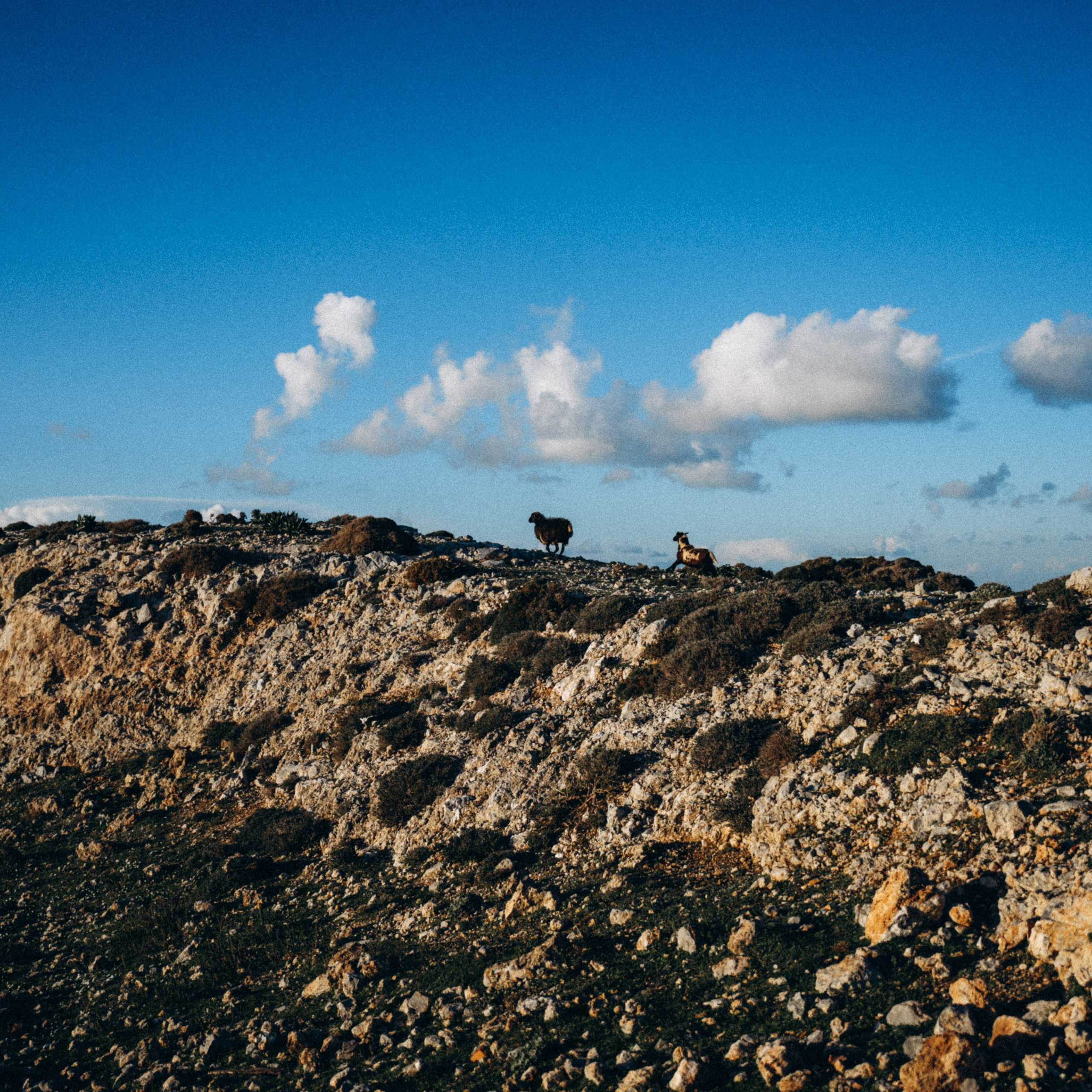 Остров Кос — Греция 🇬🇷. Anita_photo