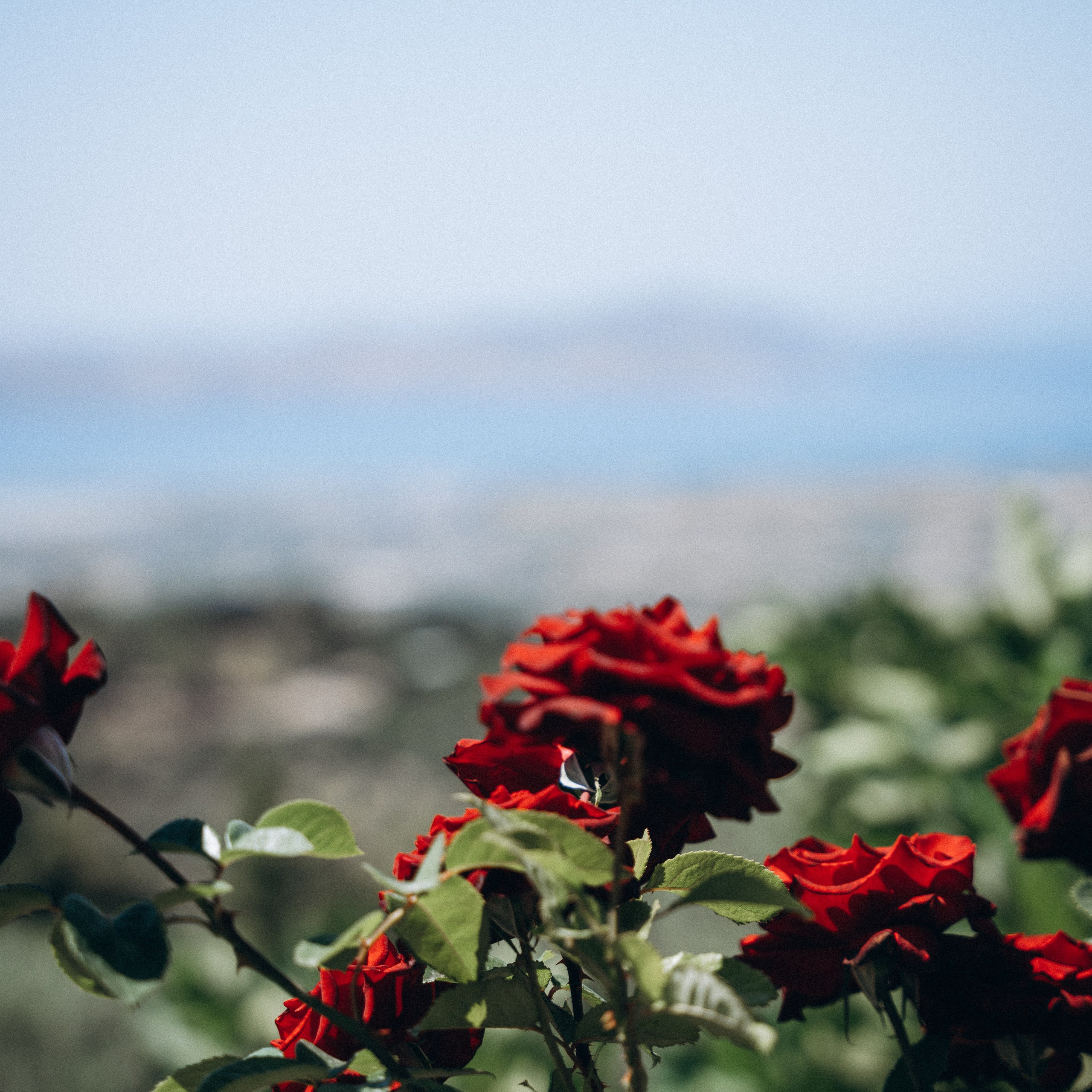 Остров Кос — Греция 🇬🇷. Anita_photo