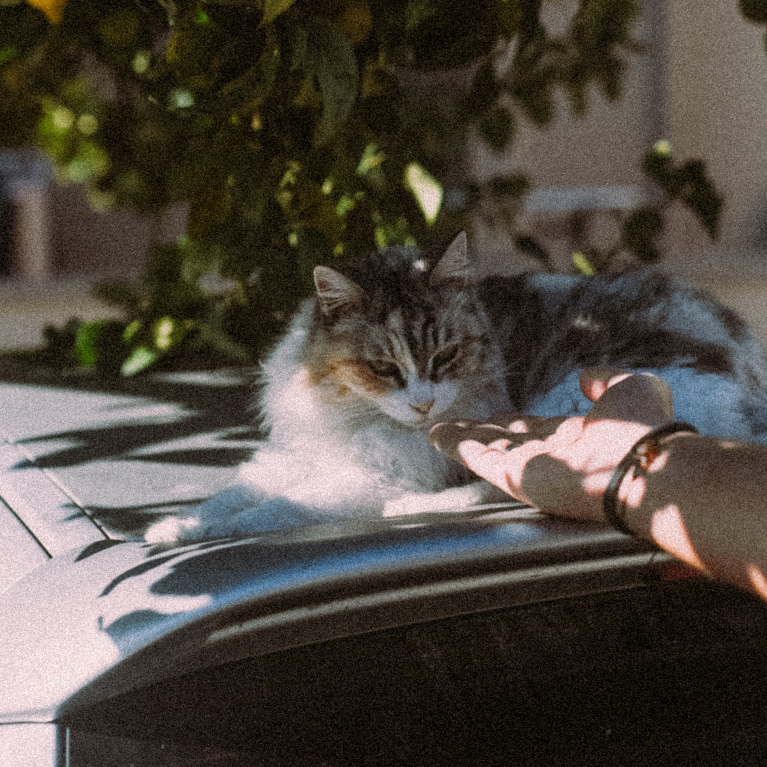Остров Кос — Греция 🇬🇷. Anita_photo