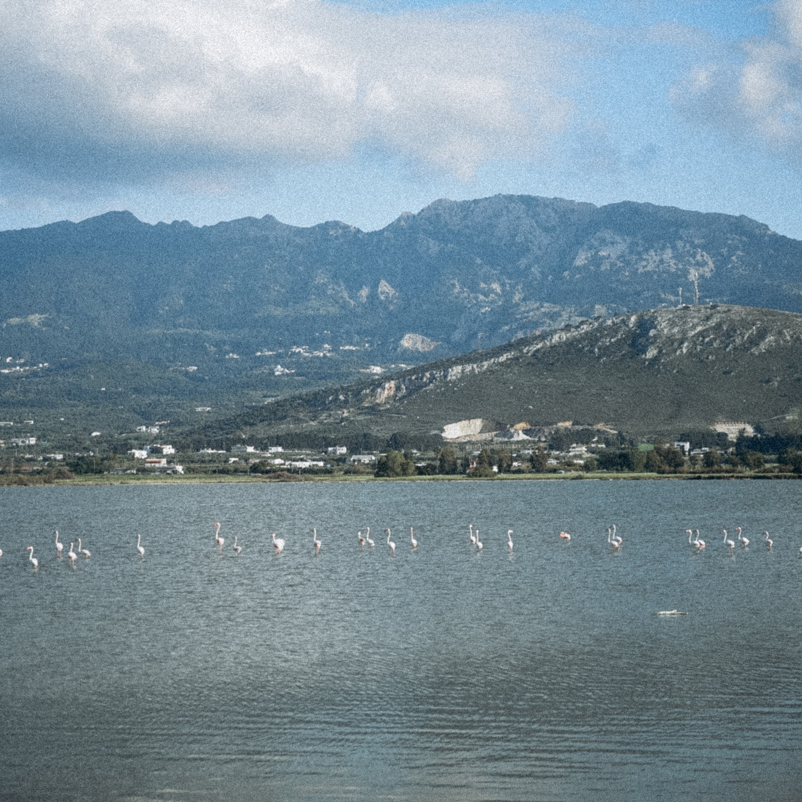 Остров Кос — Греция 🇬🇷. Anita_photo