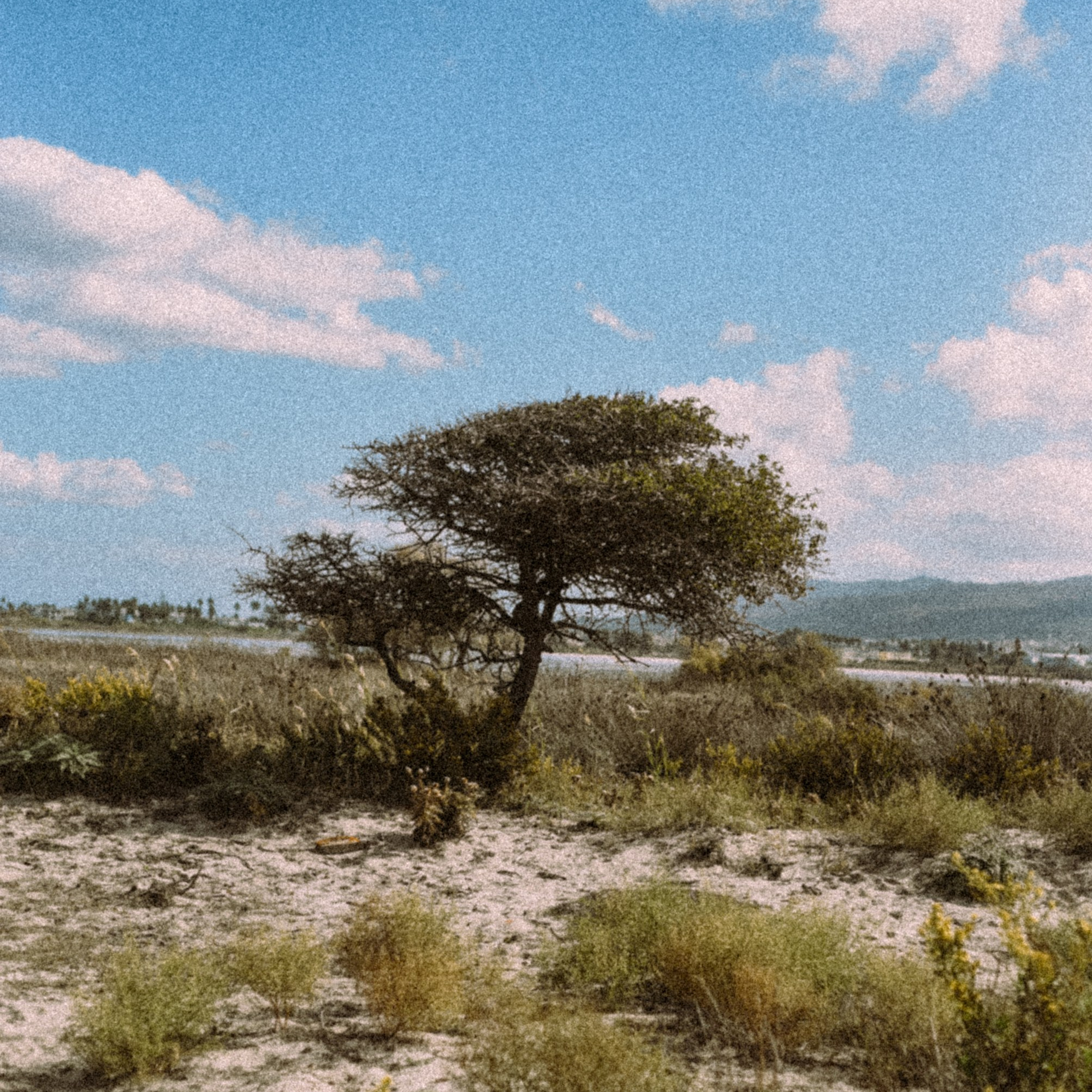 Остров Кос — Греция 🇬🇷. Anita_photo