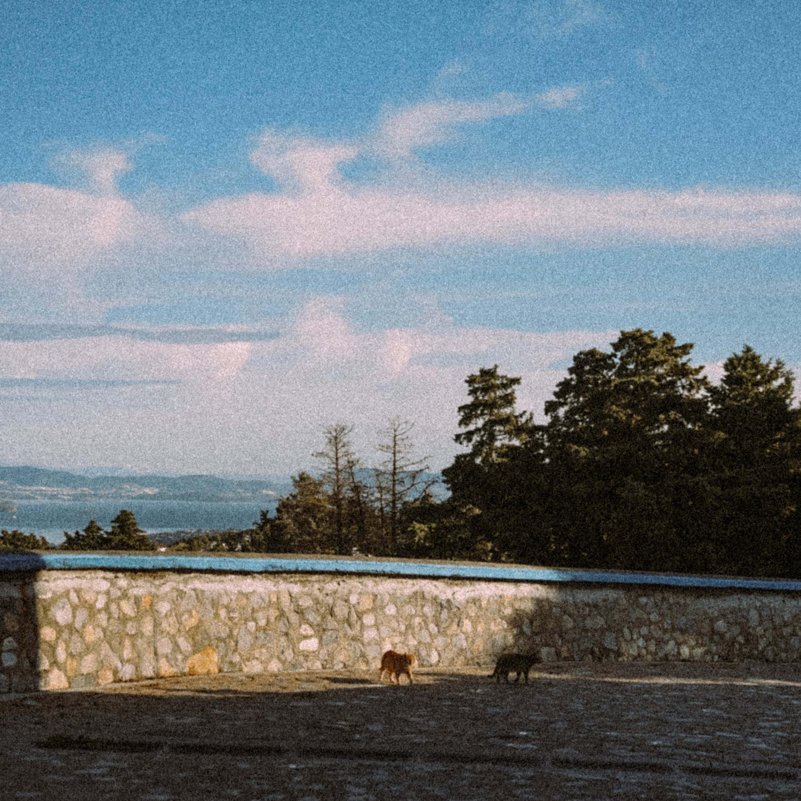 Остров Кос — Греция 🇬🇷. Anita_photo