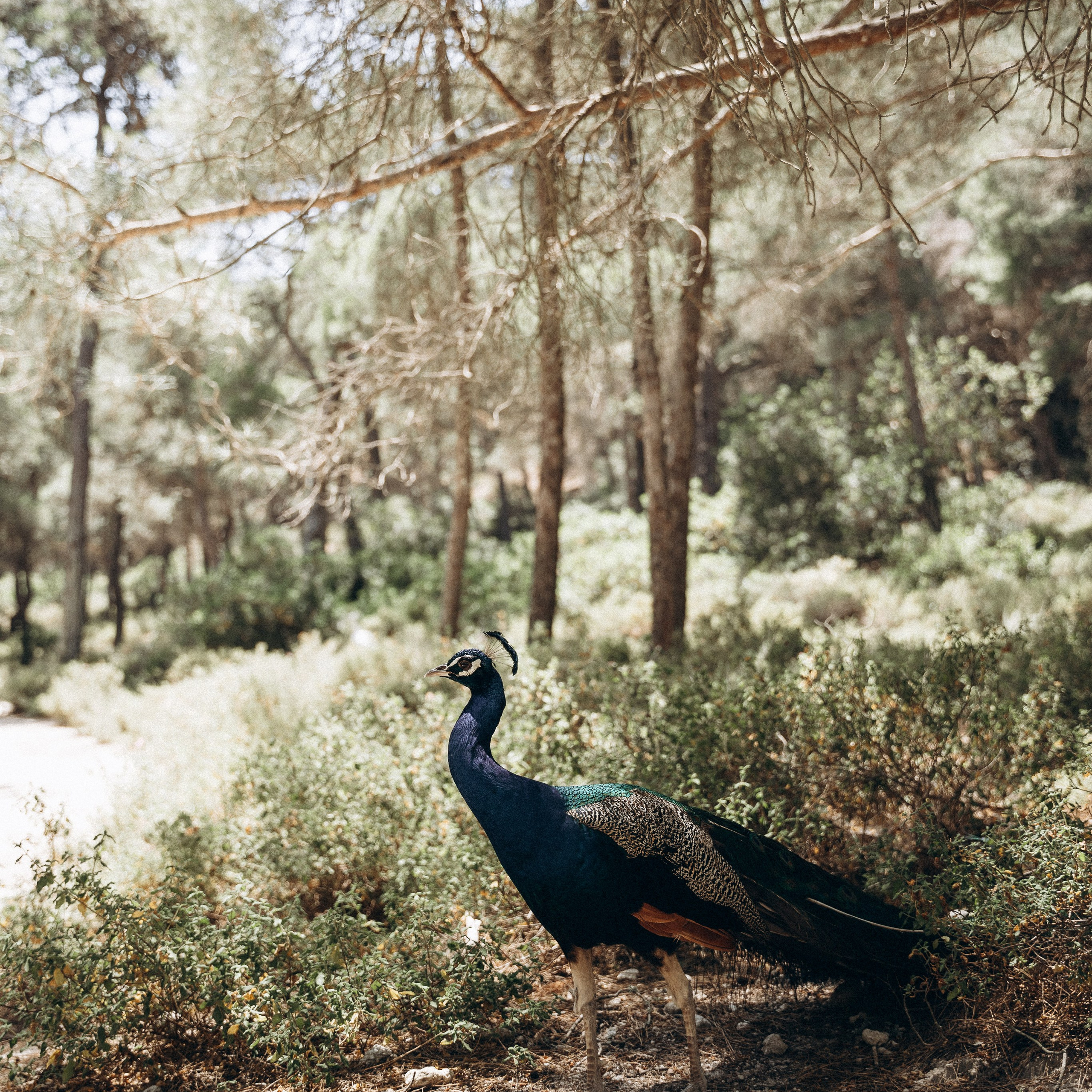 Остров Кос — Греция 🇬🇷. Anita_photo