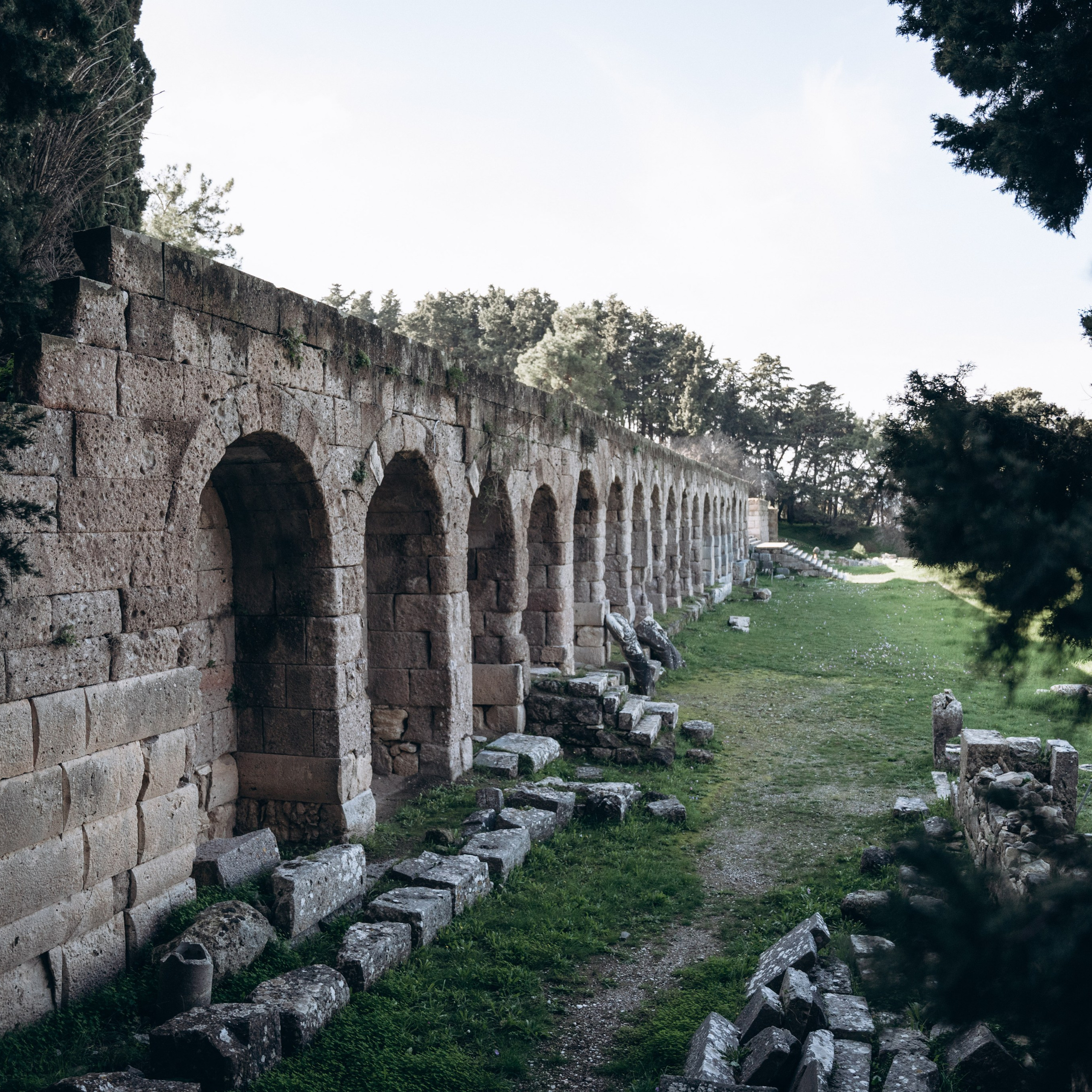 Остров Кос — Греция 🇬🇷. Anita_photo