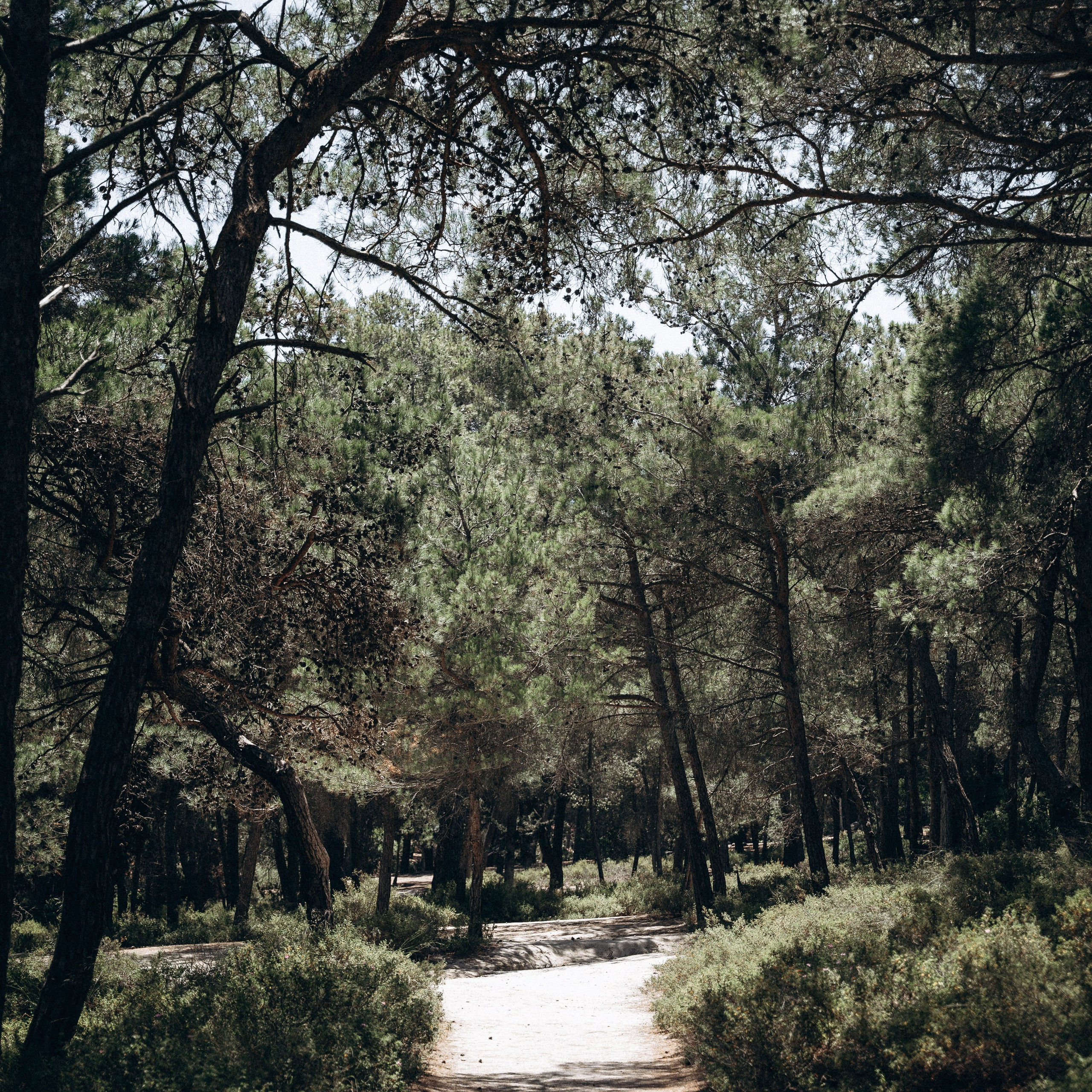 Остров Кос — Греция 🇬🇷. Anita_photo