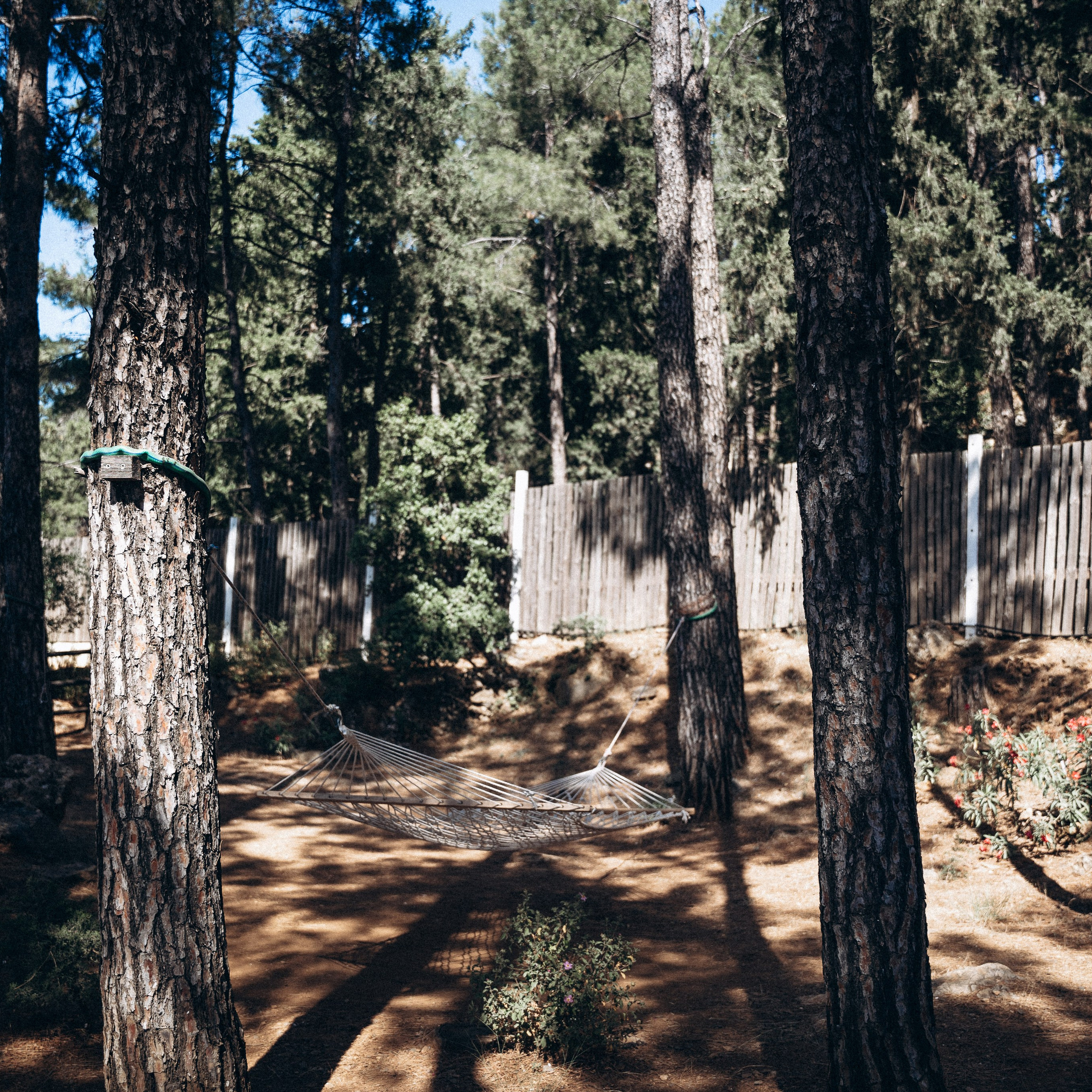 Остров Кос — Греция 🇬🇷. Anita_photo