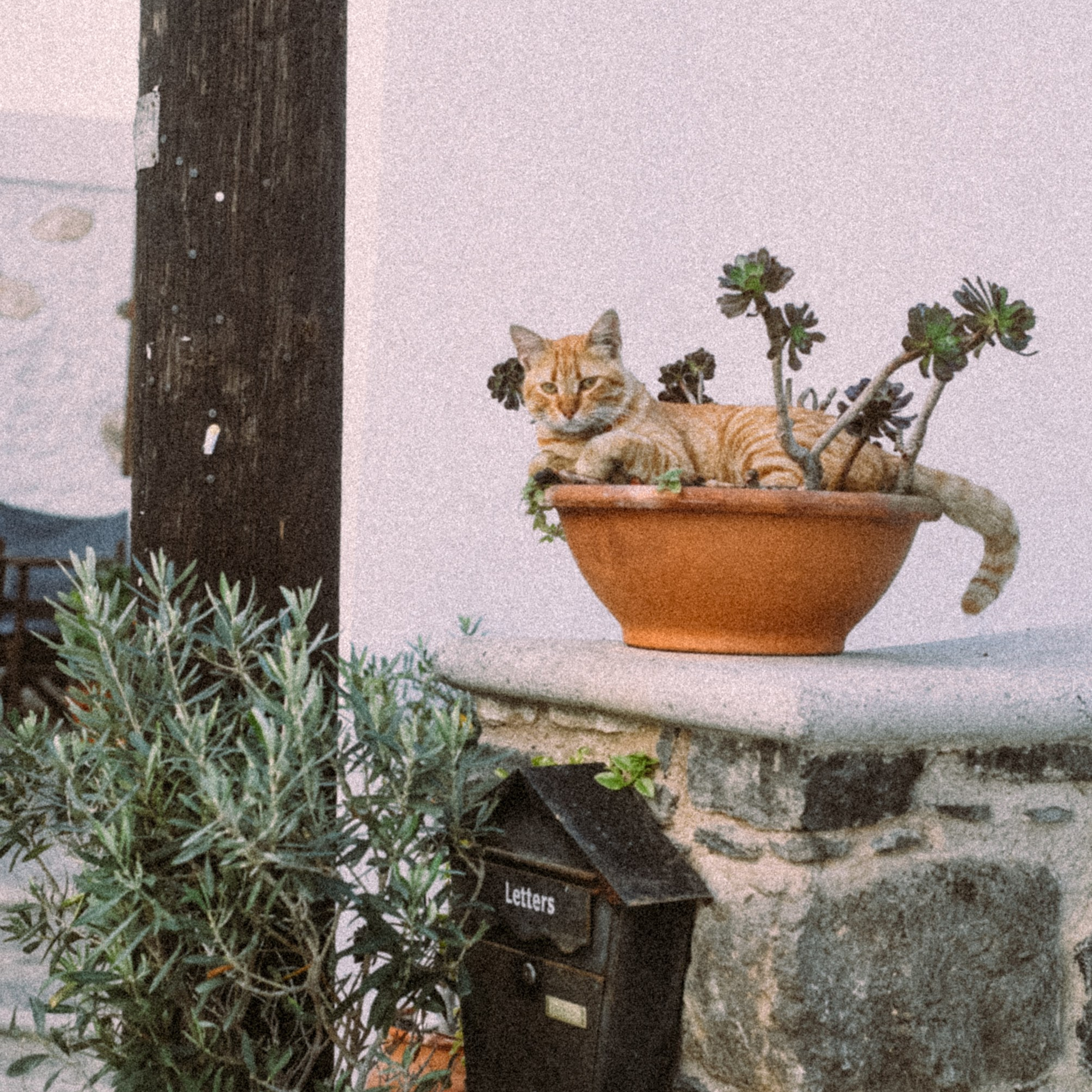 Нисирос. Anita_photo