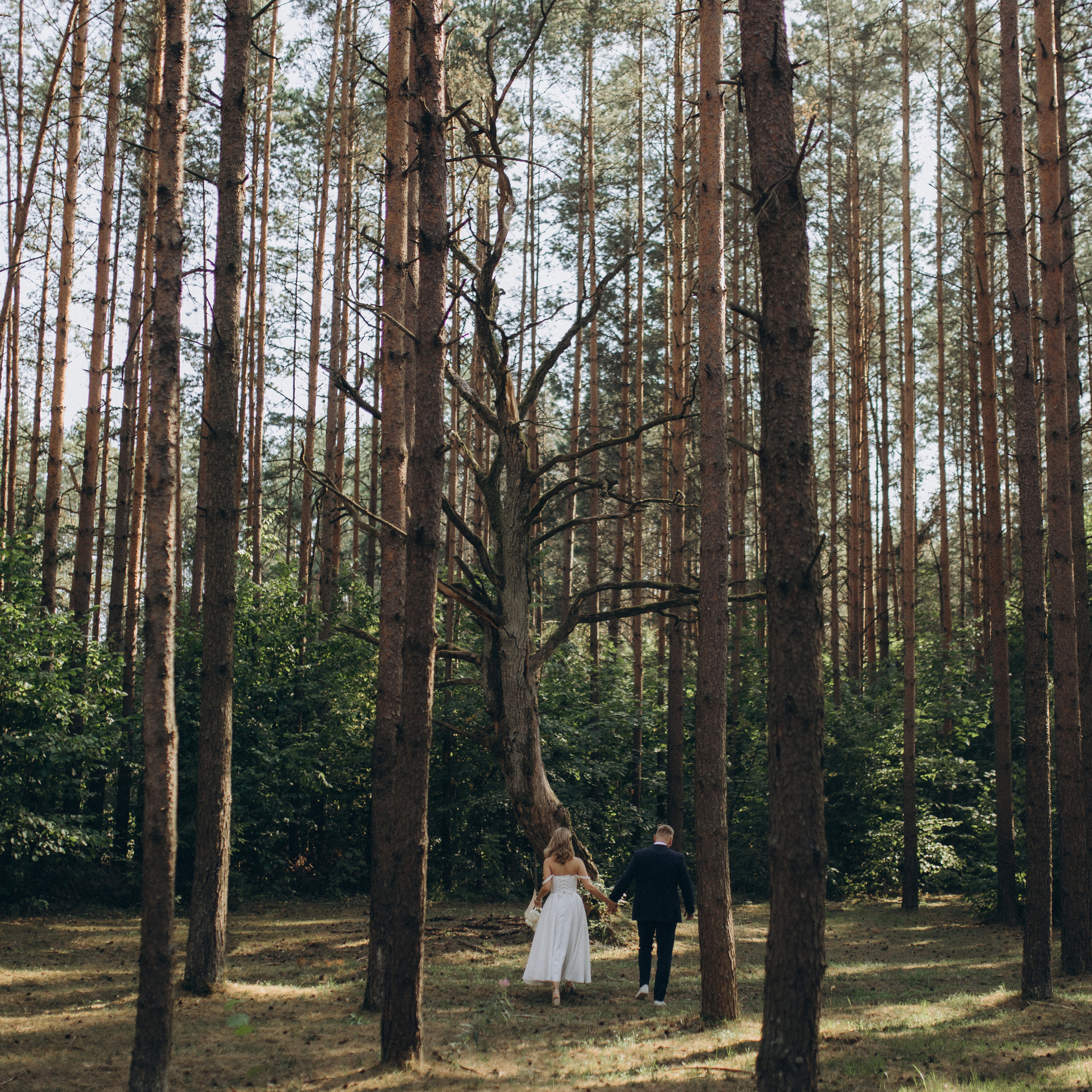Atsiliepimai. Vestuvių ir šeimų fotografė Lena Bondarenko / belove photo