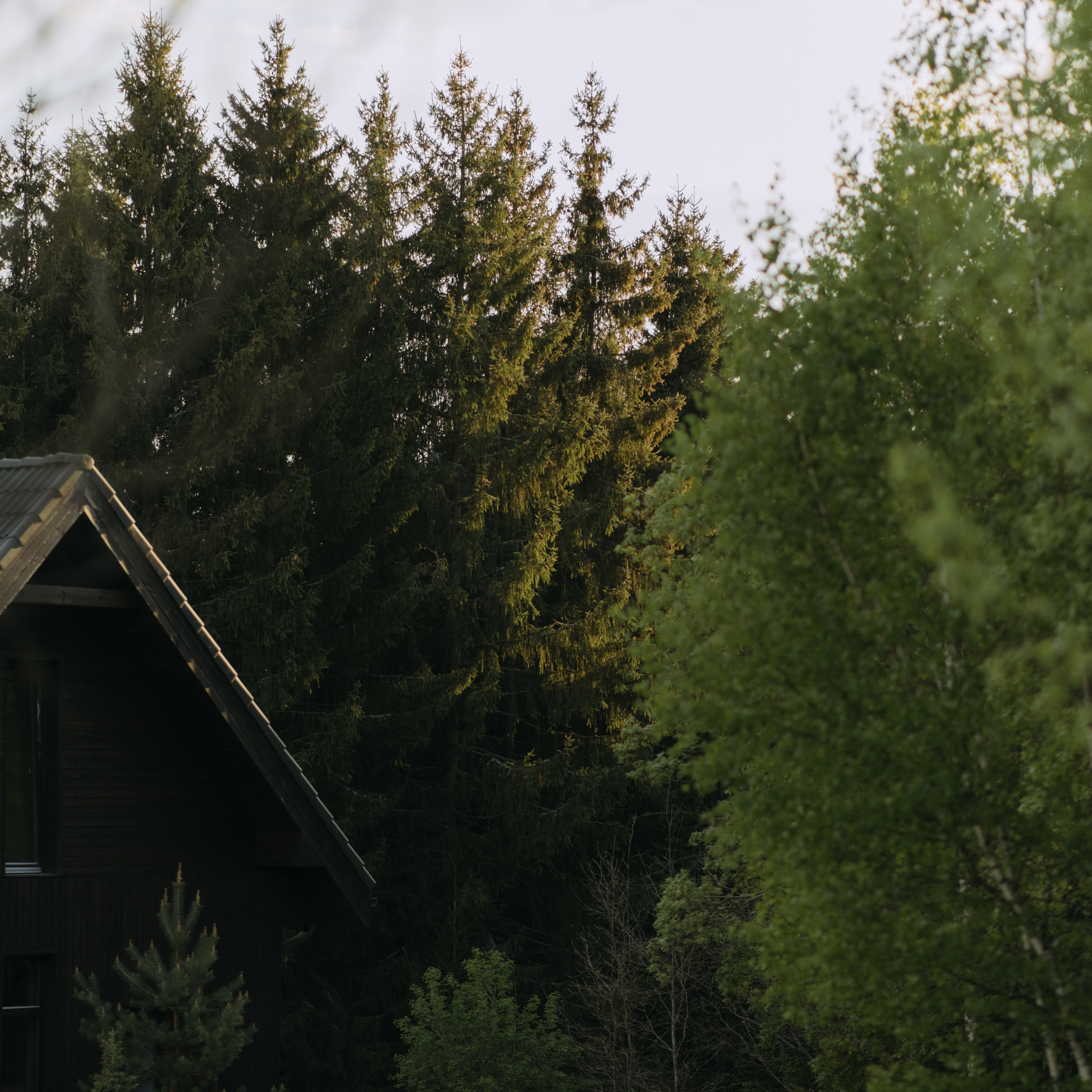 Atsiliepimai. Vestuvių ir šeimų fotografė Lena Bondarenko / belove photo