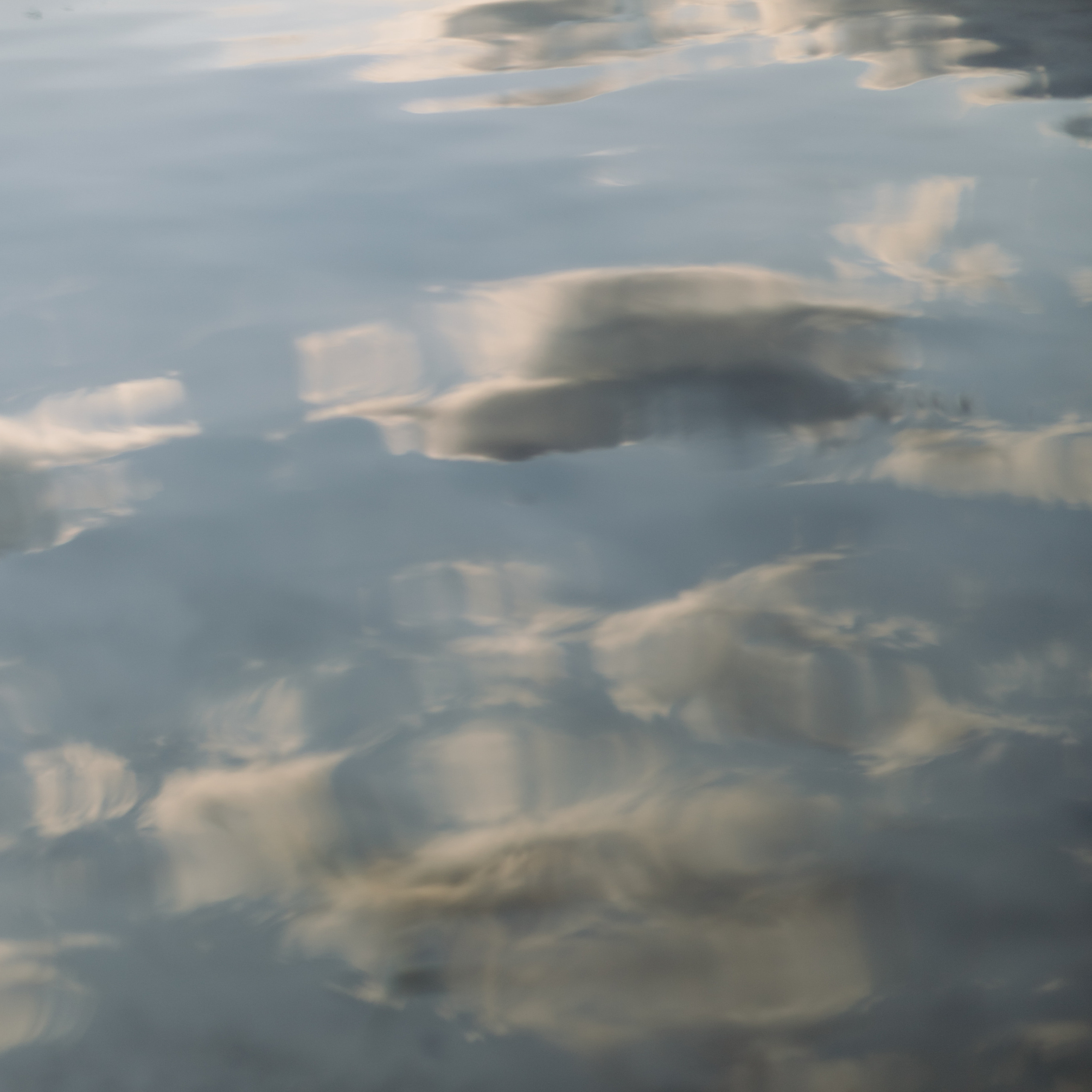 Atsiliepimai. Vestuvių ir šeimų fotografė Lena Bondarenko / belove photo