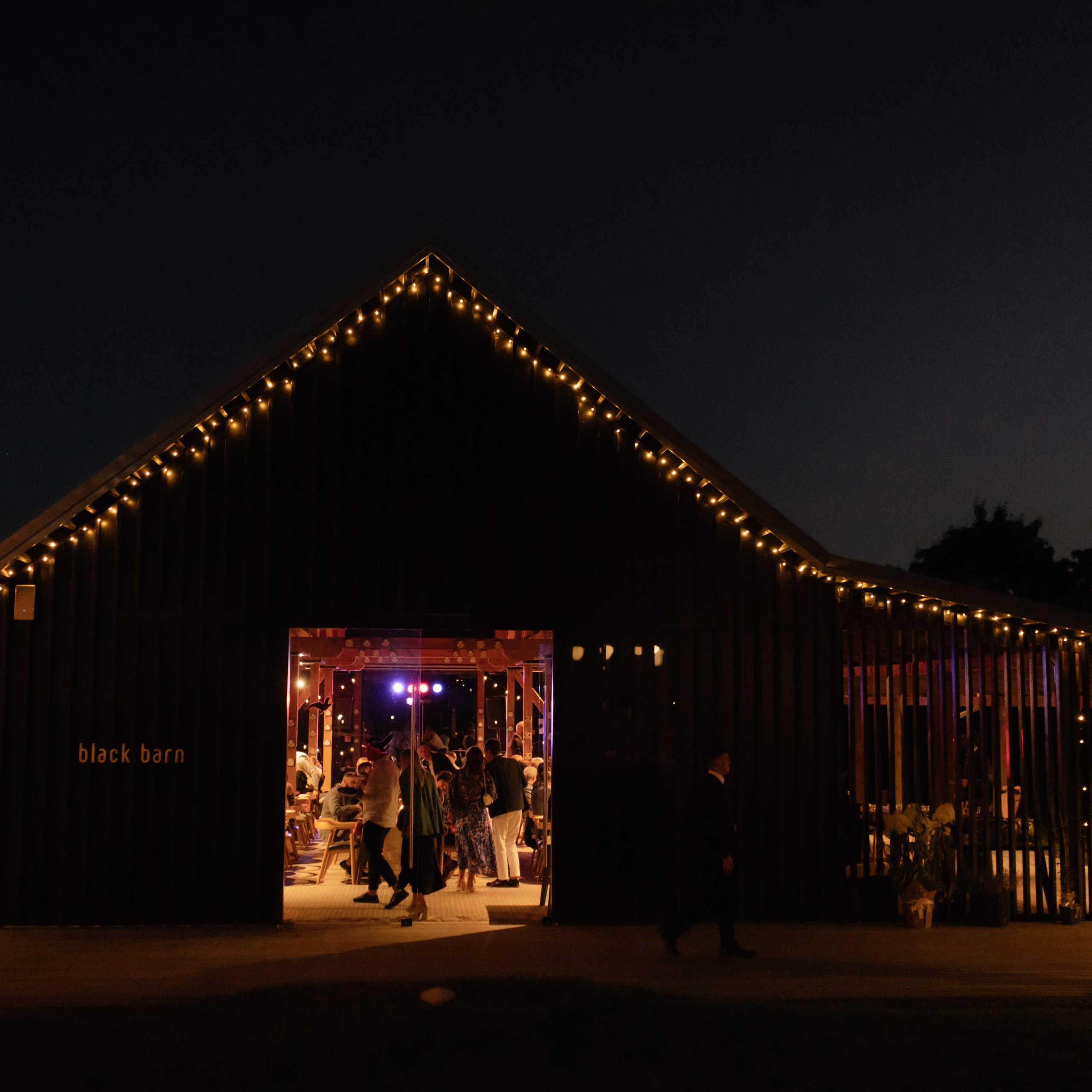 Atsiliepimai. Vestuvių ir šeimų fotografė Lena Bondarenko / belove photo