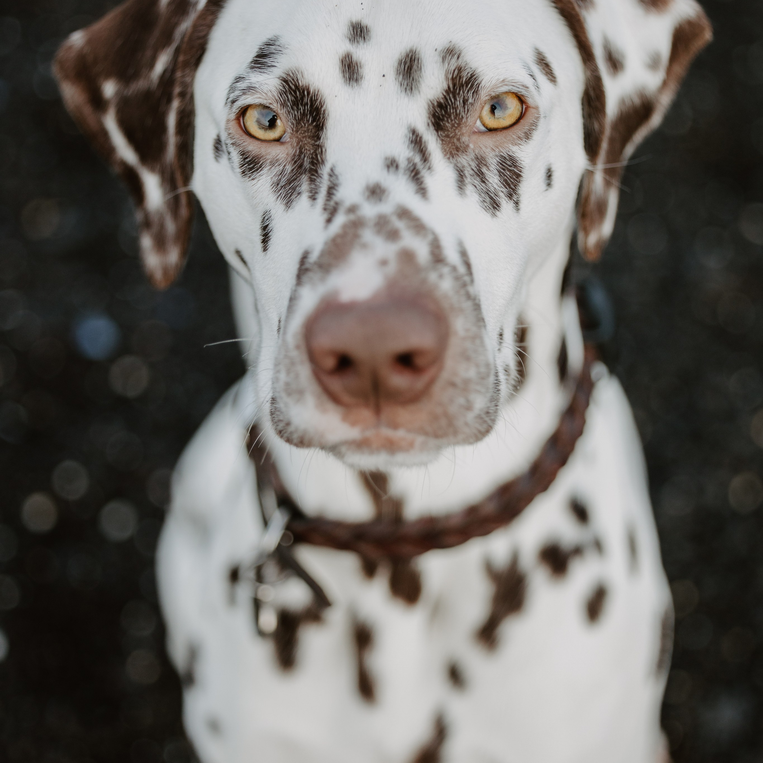 Kind Words. Heart In Lens Photography from Reykjavík, Iceland