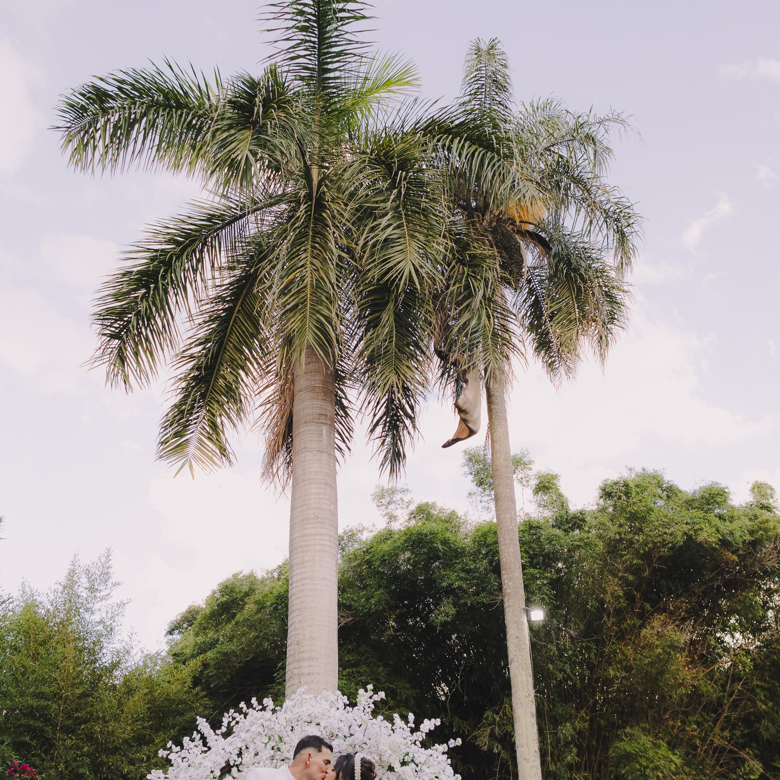 Wedding Aline & Bruno