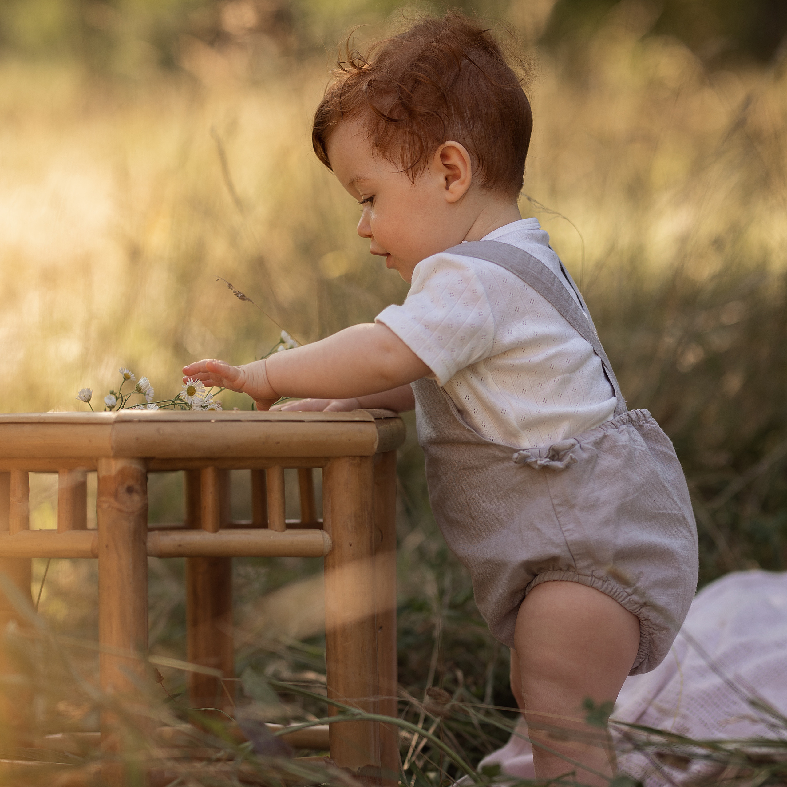 Kundenstimmen & Feedback | Albina Vaniyants – Familien-, Kinder- & Portraitfotografie. Professionelle Familienfotografie, Kinderfotografie und Portraitfotografie in Linz, Oberösterreich - Albina Vaniyants, Fotografin aus OÖ