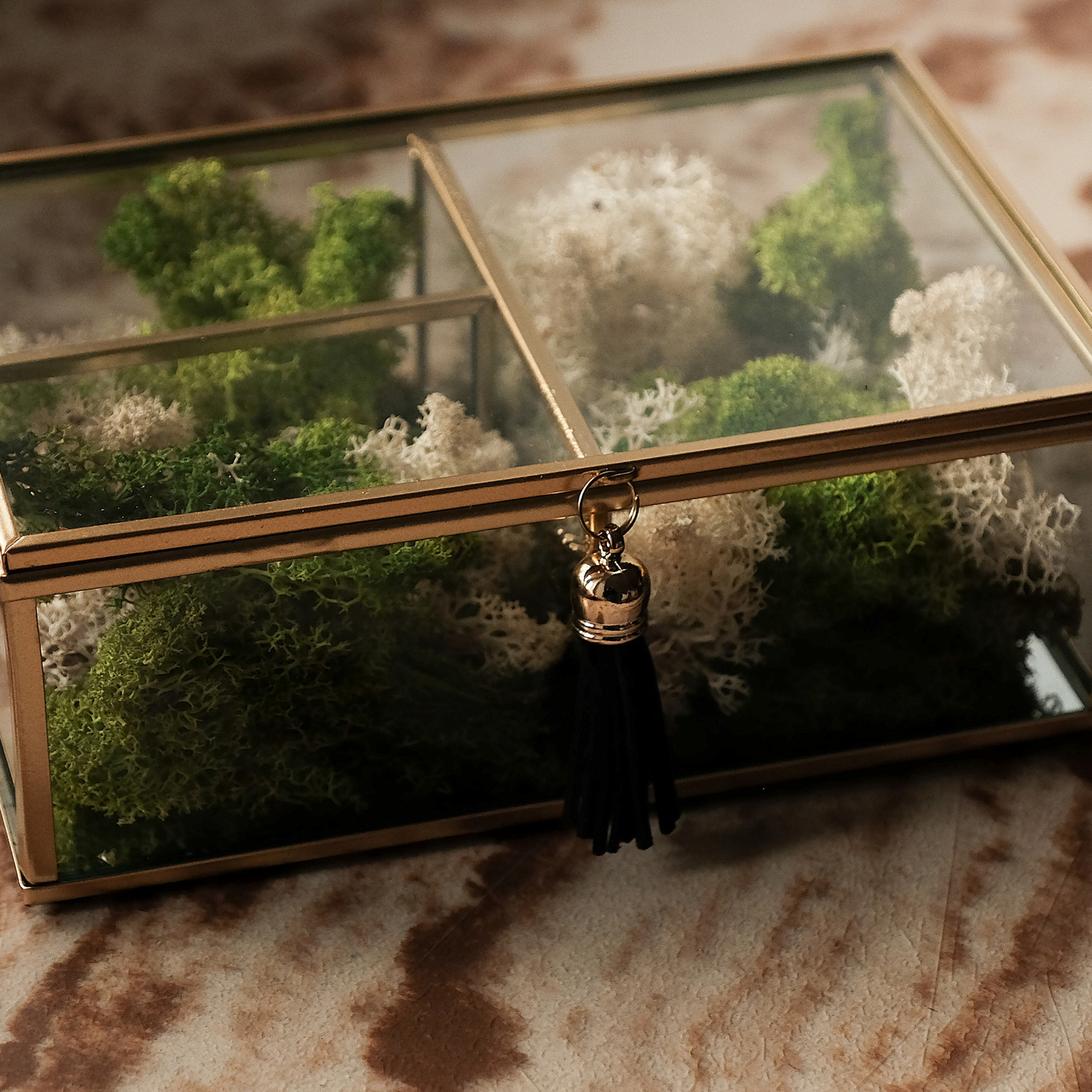 Kundenstimmen & Feedback | Albina Vaniyants – Familien-, Kinder- & Portraitfotografie. Professionelle Familienfotografie, Kinderfotografie und Portraitfotografie in Linz, Oberösterreich - Albina Vaniyants, Fotografin aus OÖ