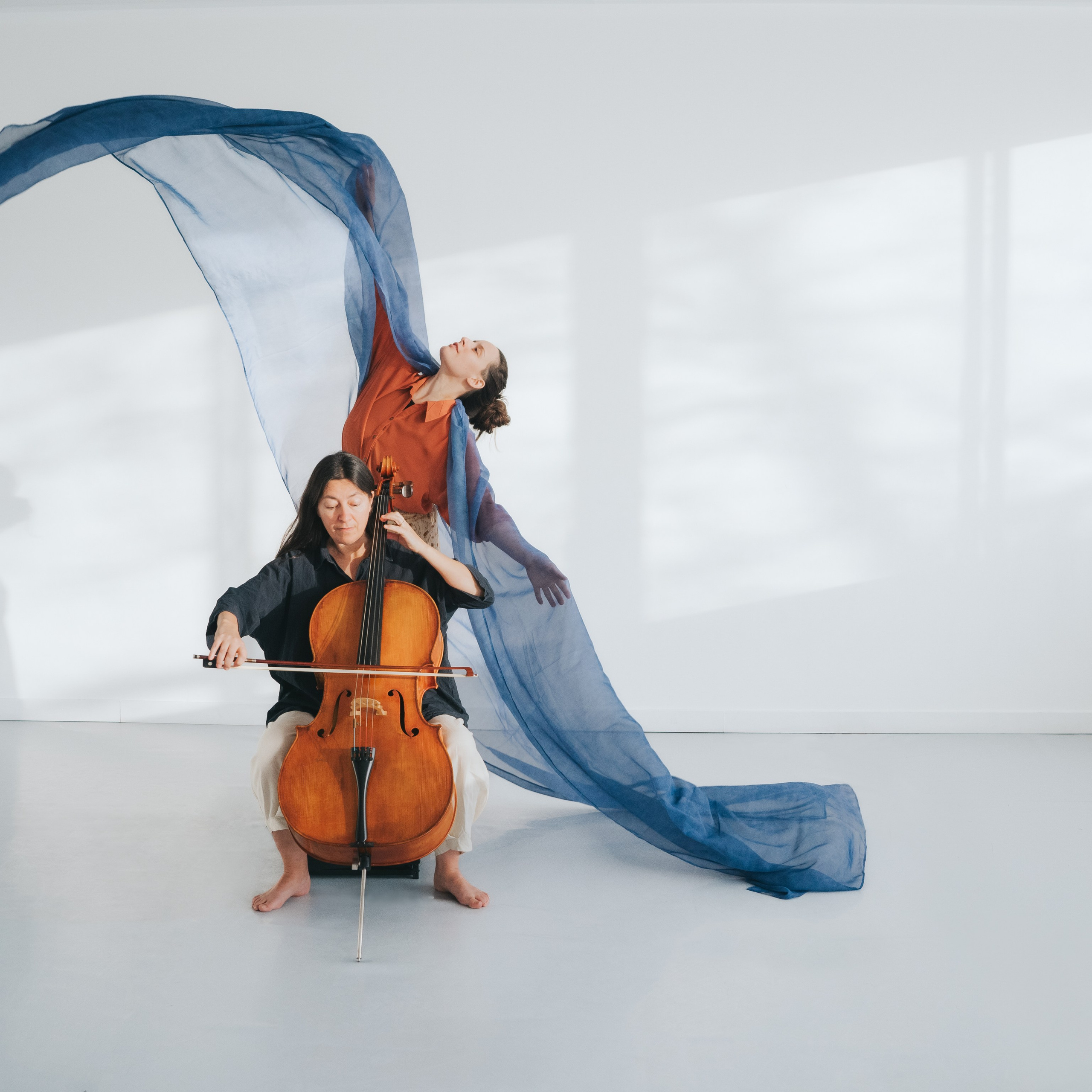 Commentaires. Mimosa Studios — Maternity & Family Photographer in Montreal