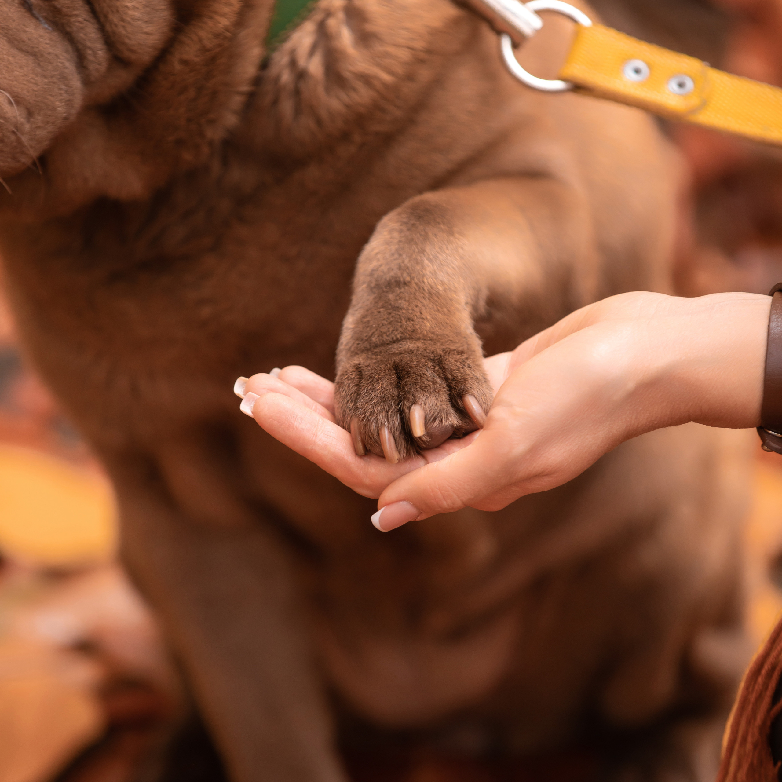 Отзывы. Фотограф, семейный фотограф. Россия, Узбекистан