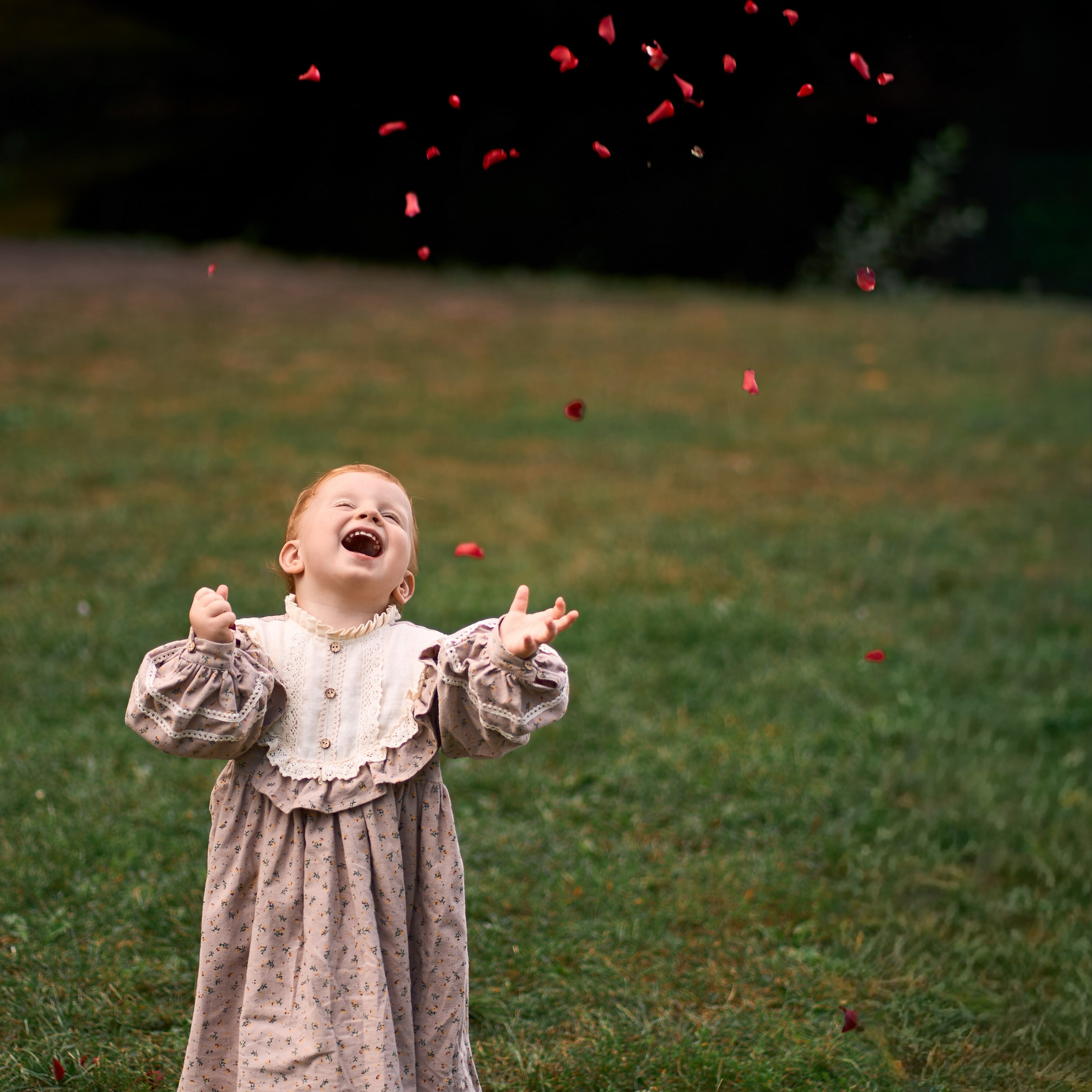 Familienpicknick. Hochzeits- und Familienfotografin in Hannover – Sofia Galin