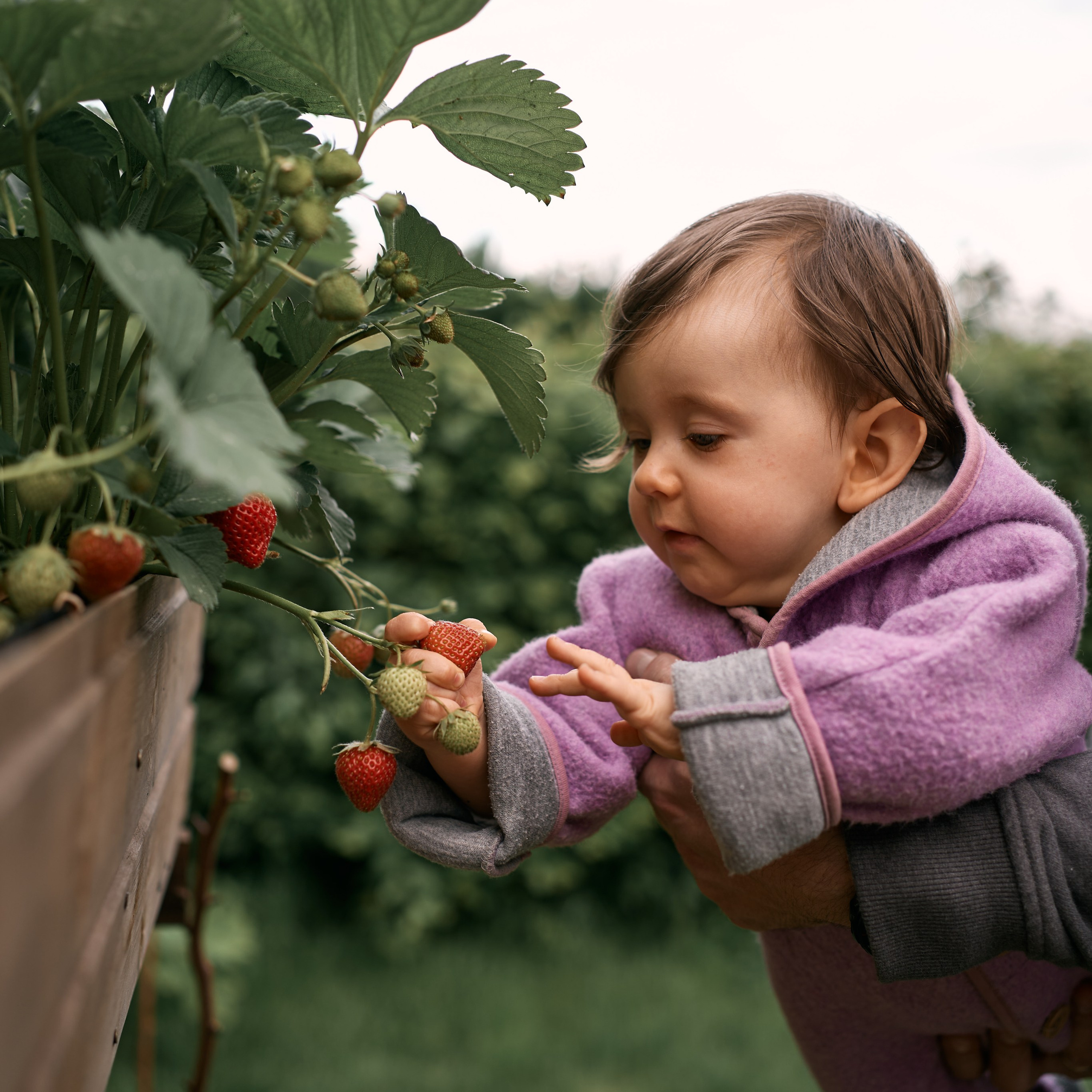 Kleine Vera. Hochzeits- und Familienfotografin in Hannover – Sofia Galin