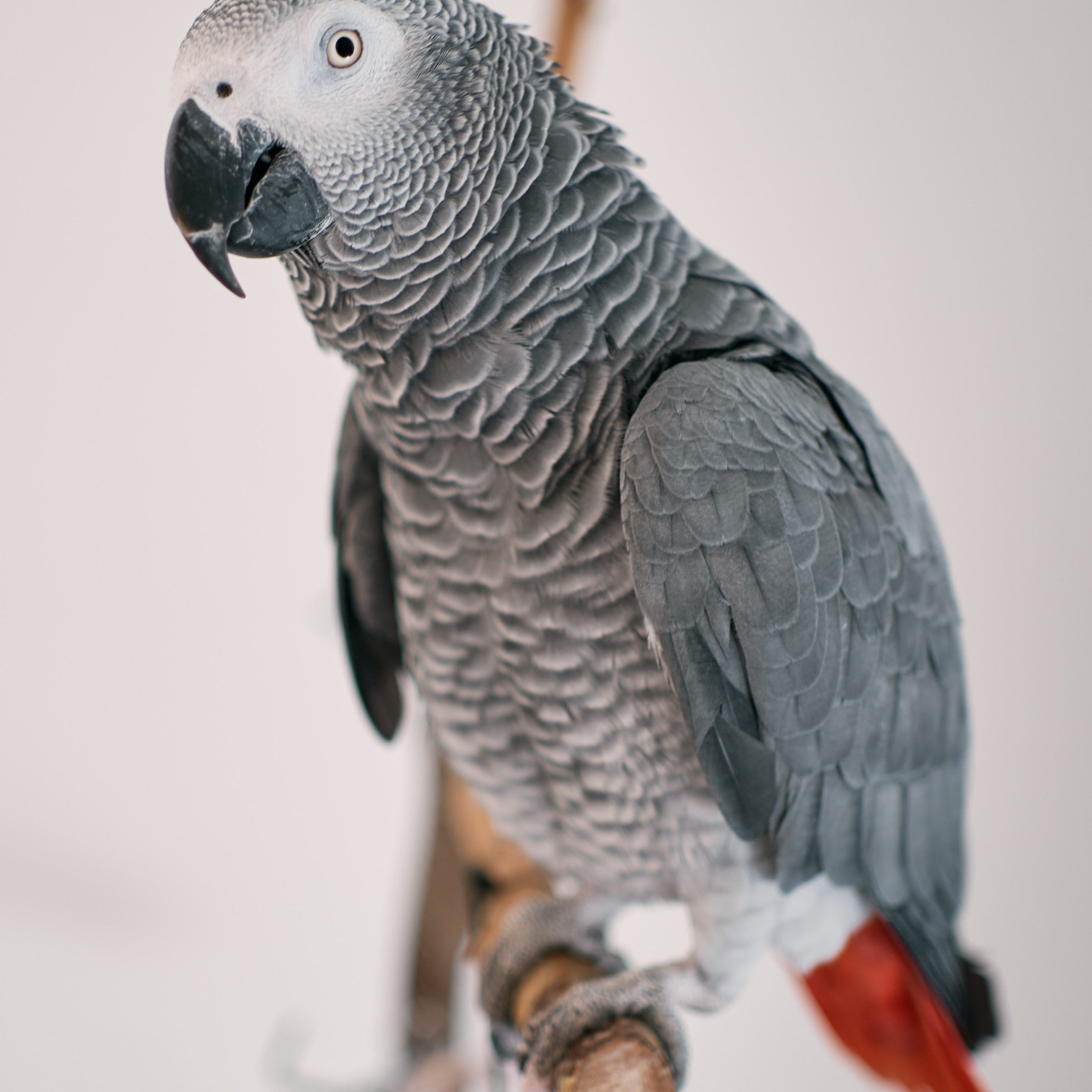 Kleine Vera. Hochzeits- und Familienfotografin in Hannover – Sofia Galin