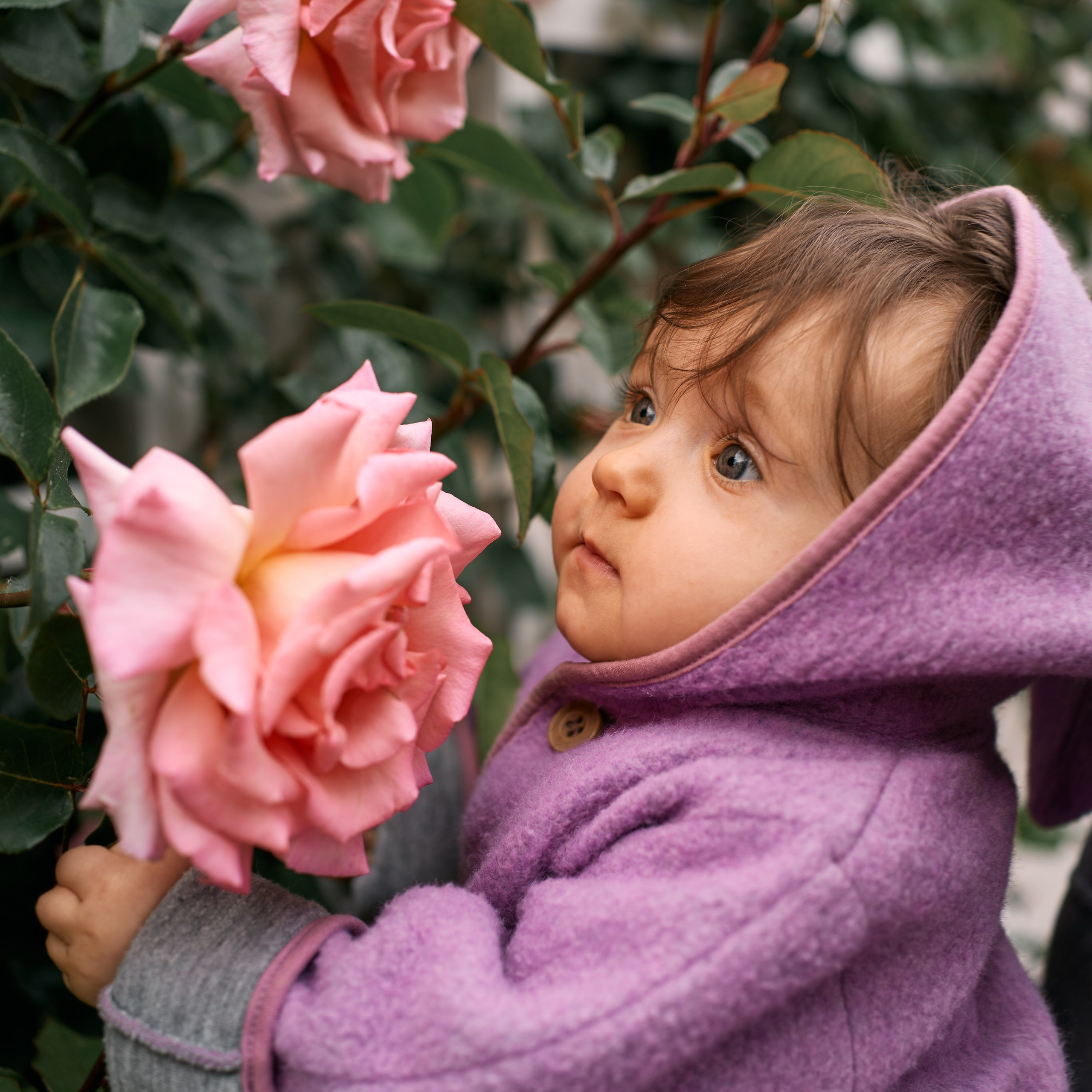 Kleine Vera. Hochzeits- und Familienfotografin in Hannover – Sofia Galin