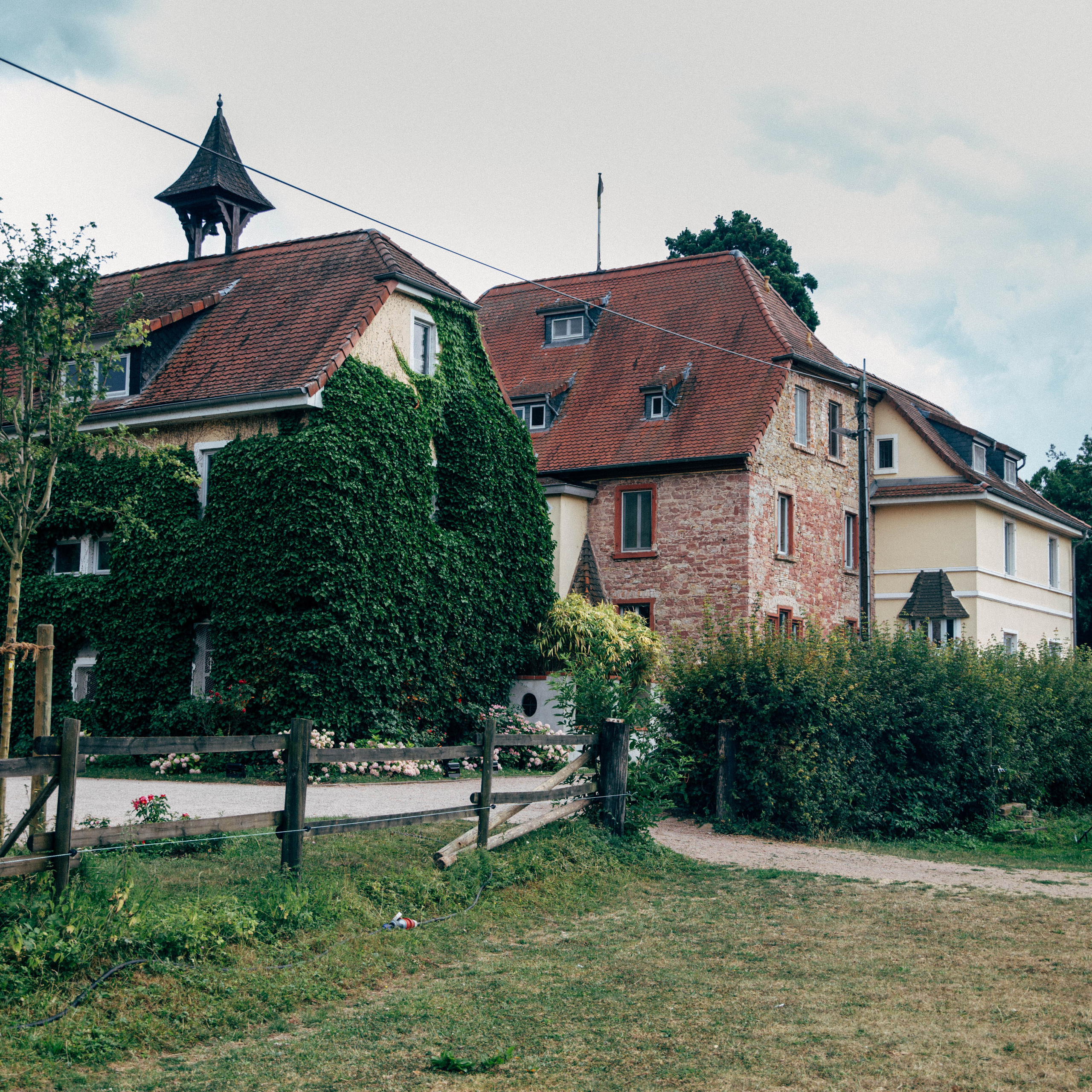 Reviews. Portrait family photographer in Berlin Elena Zakh