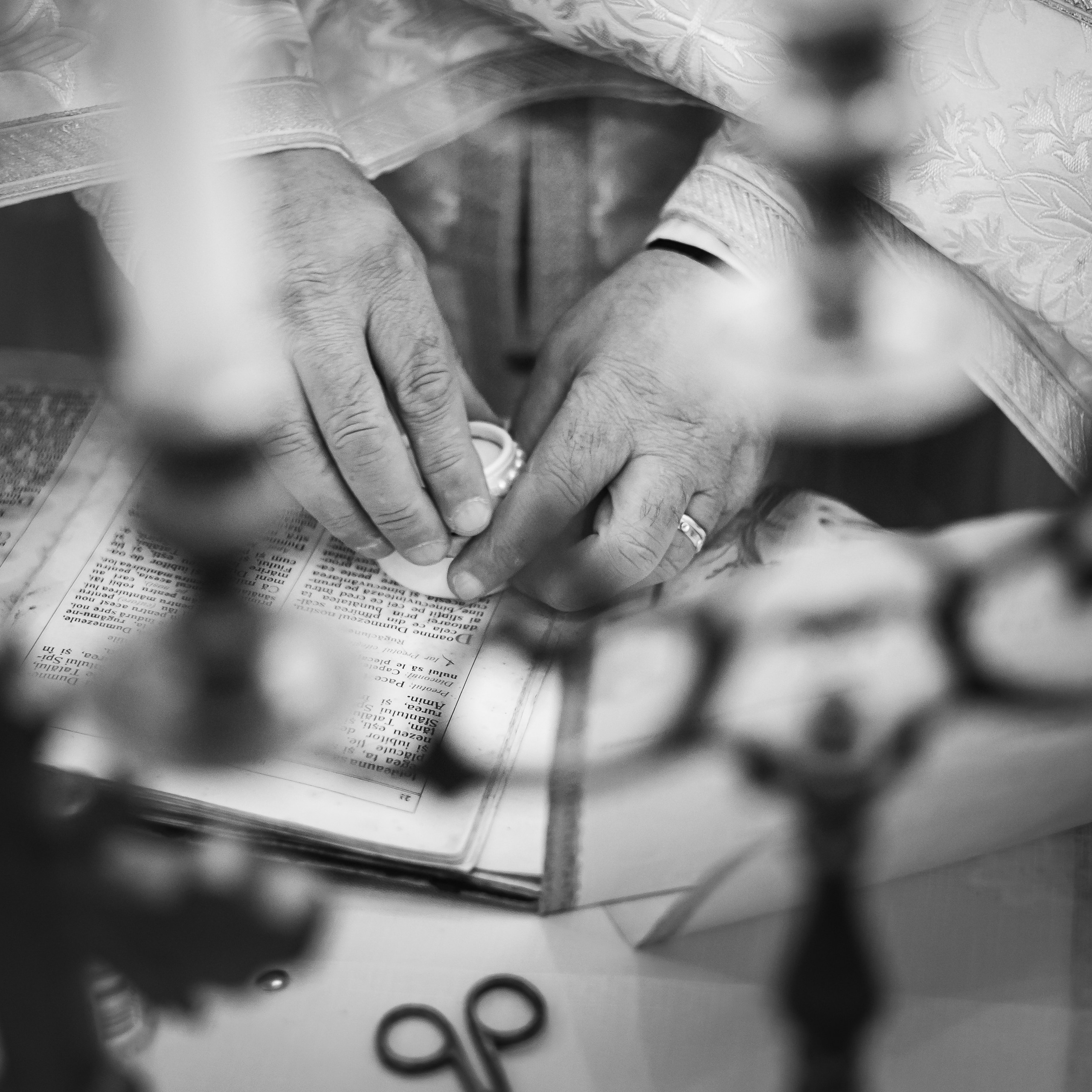 Fotografii Nuntă Catalin si Diana | Gaudi Matei in Timisoara, Cenad, Sannicolau Mare si Timis
