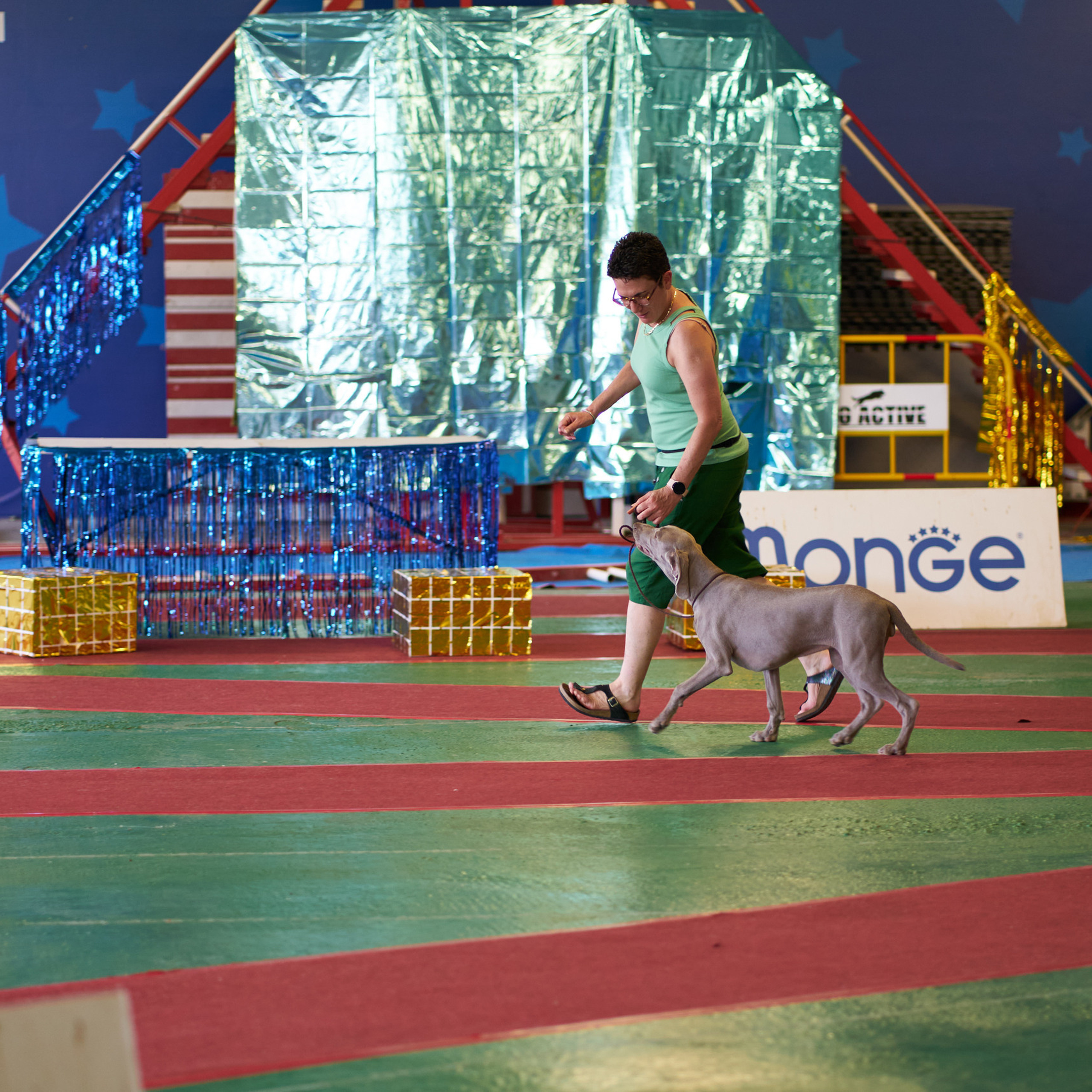 Reviews. צלם אלכס ברט בישראל