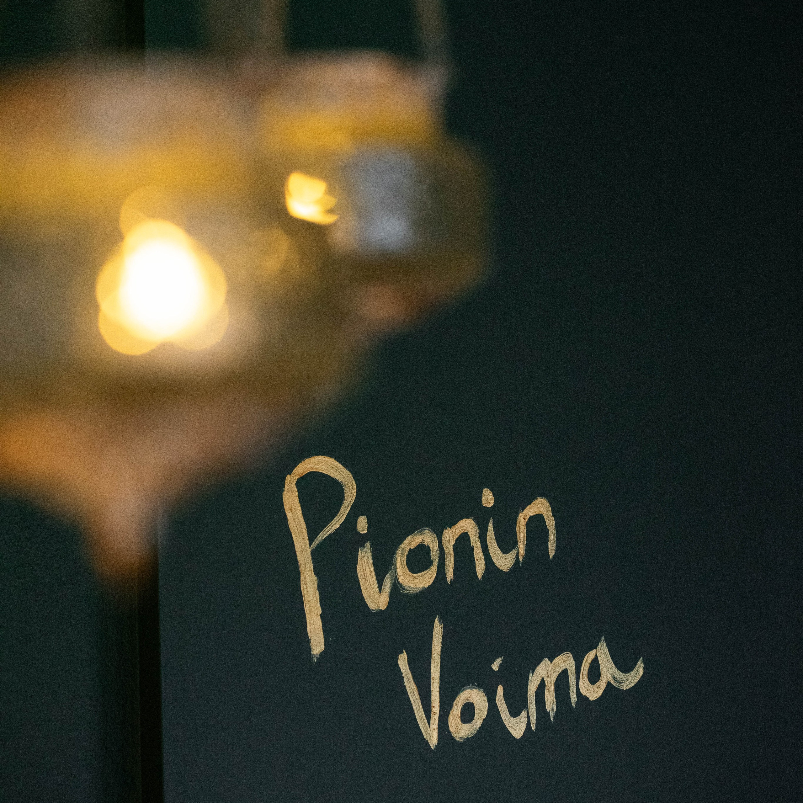 Pionin Voima