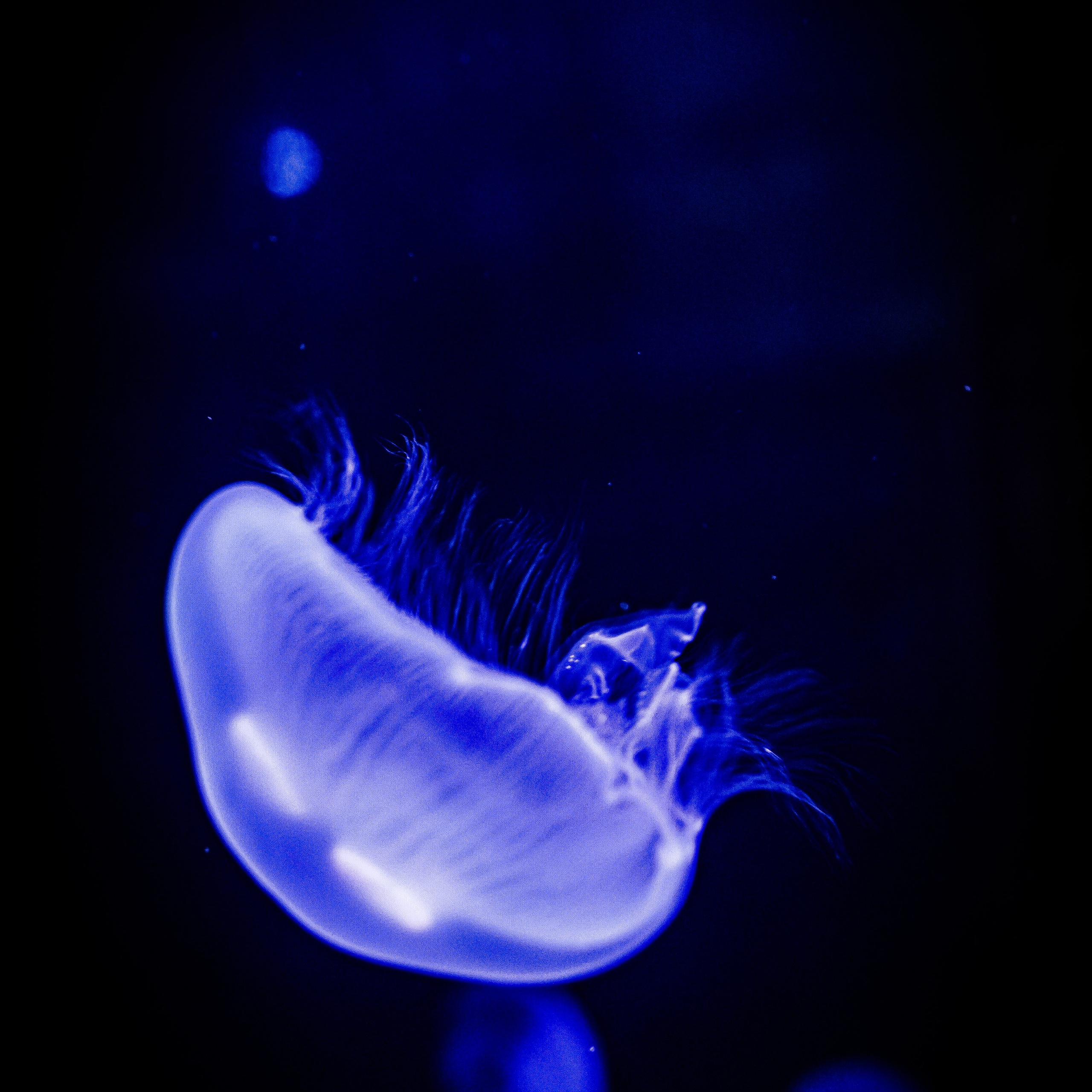 Travel and family photographer in South Carolina