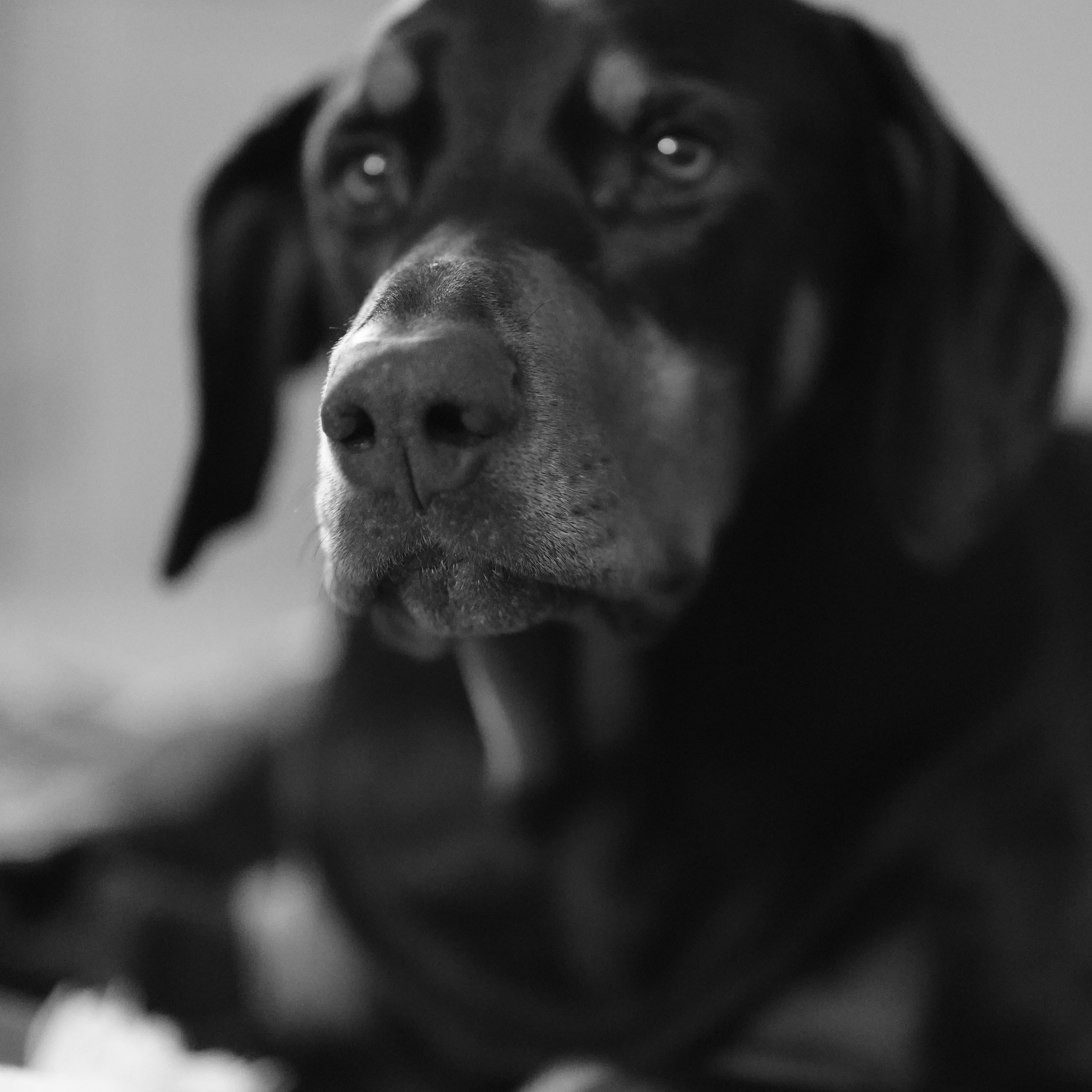 Travel and family photographer in South Carolina