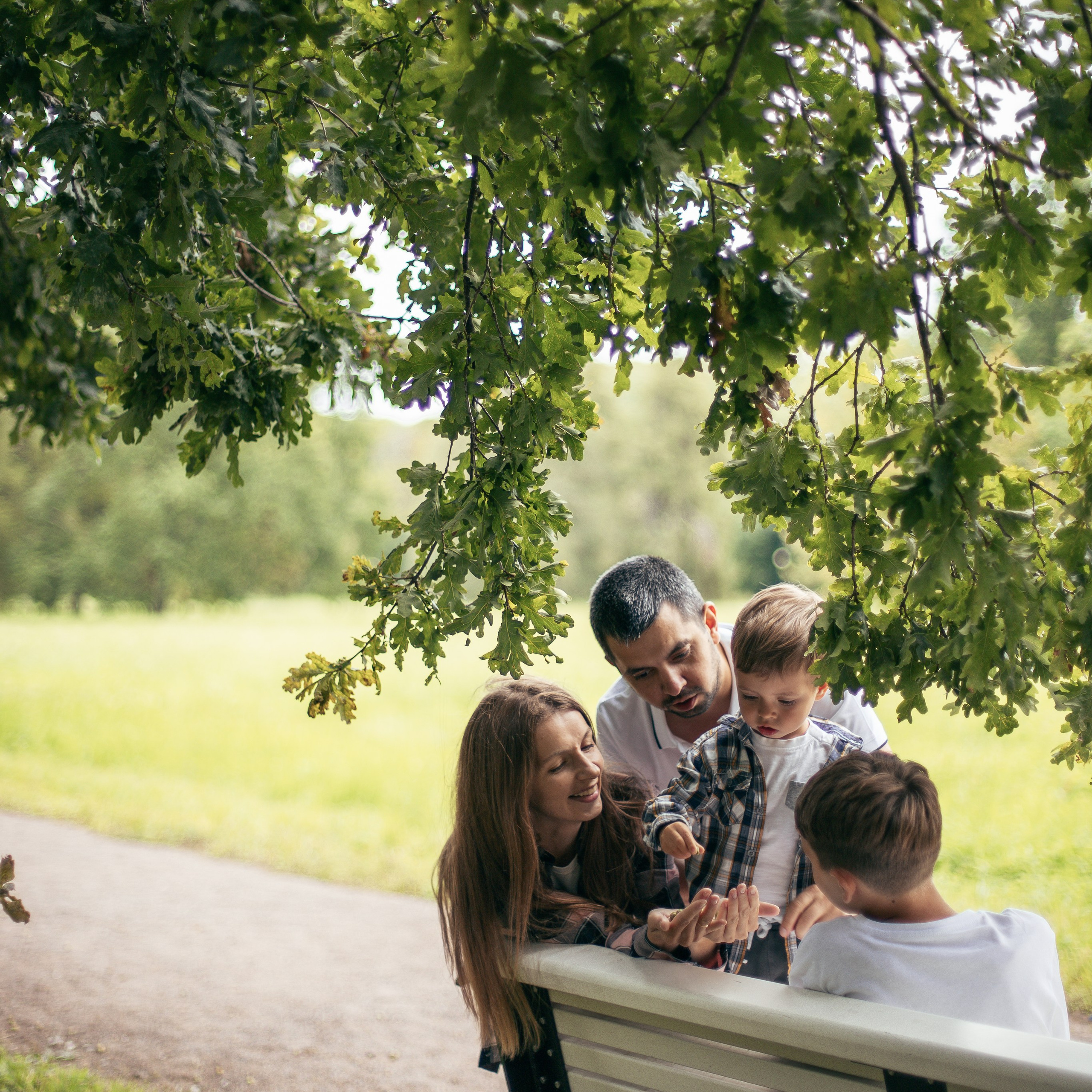 Прогулка в парке