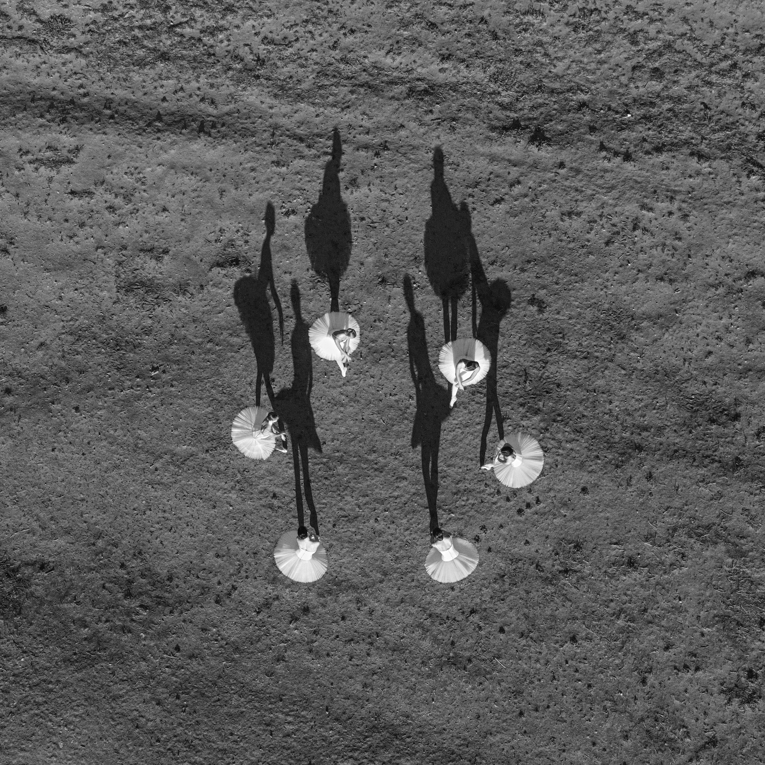 DANCE & SEA (project in progress)