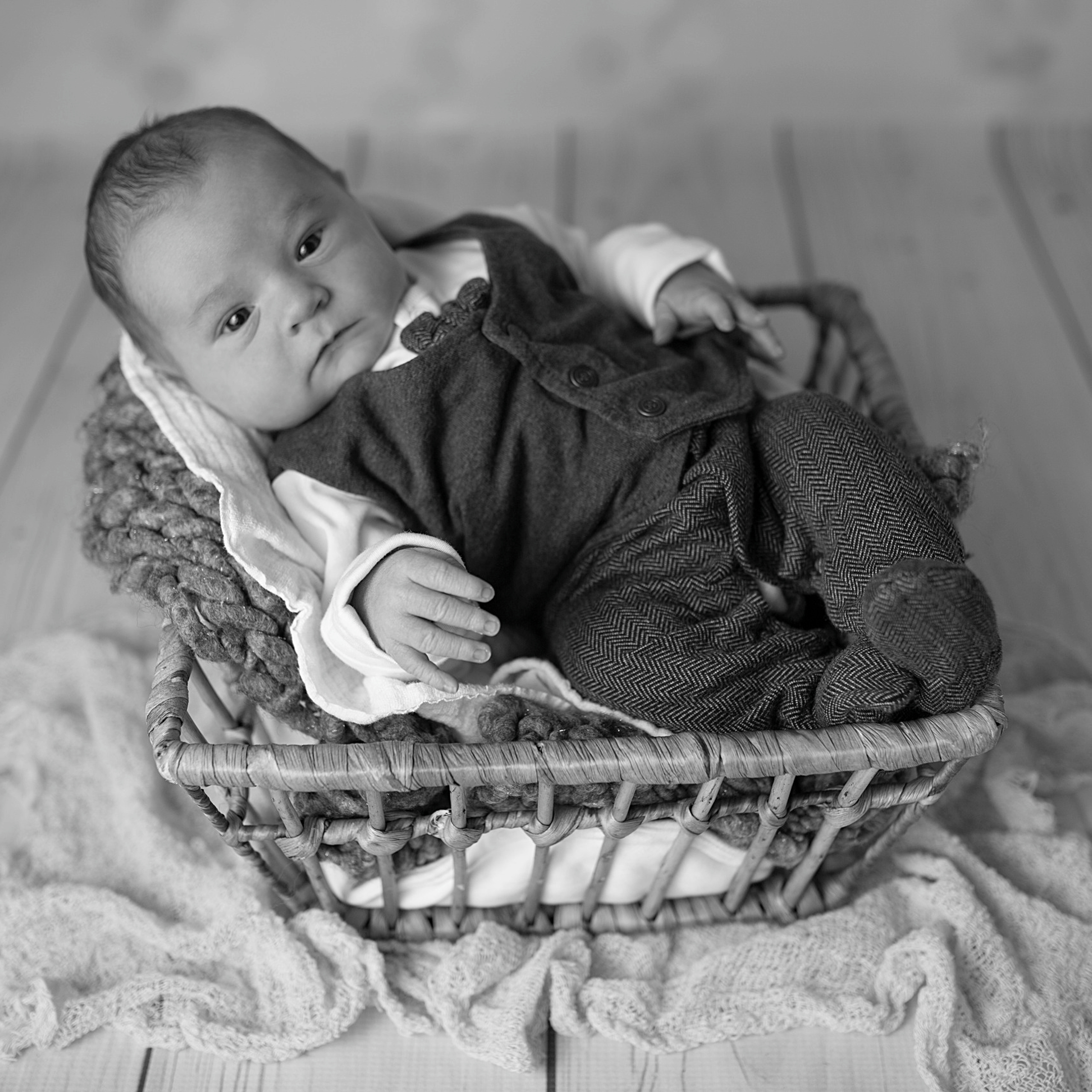 Referenzen. Neugeborenen, Familien, Geschwister Fotografin aus Delmenhorst