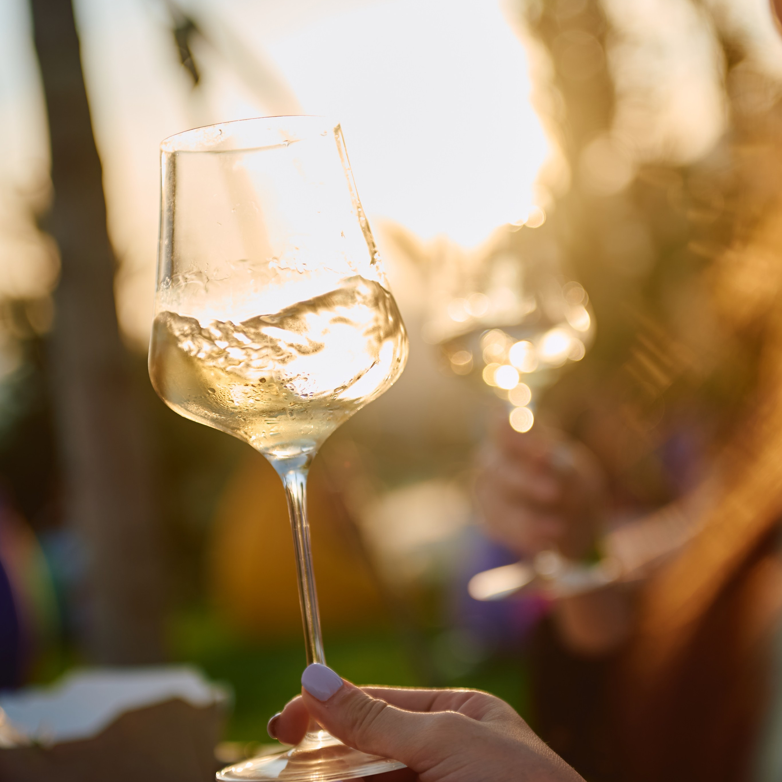 Sunset Party