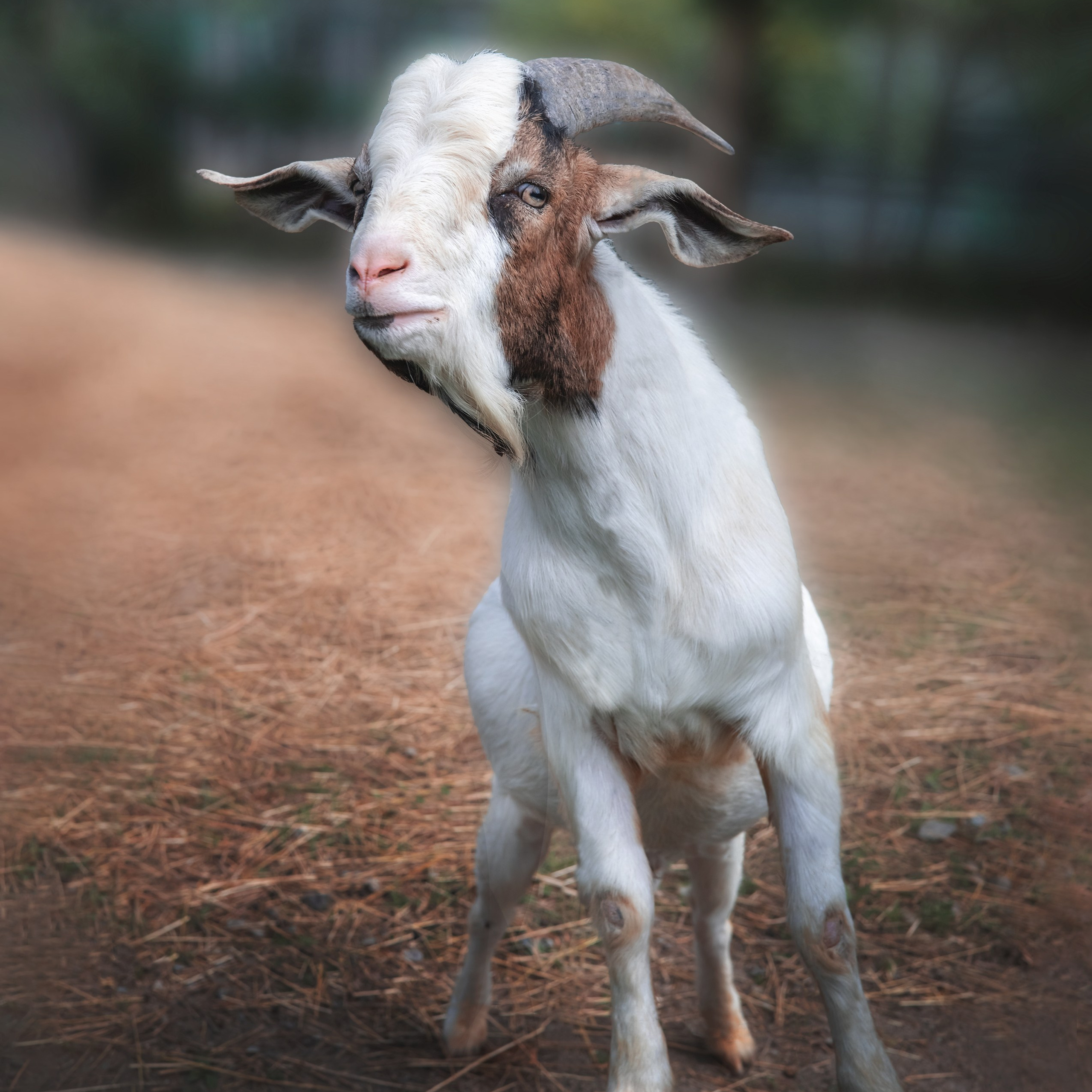 Le monde autour de nous