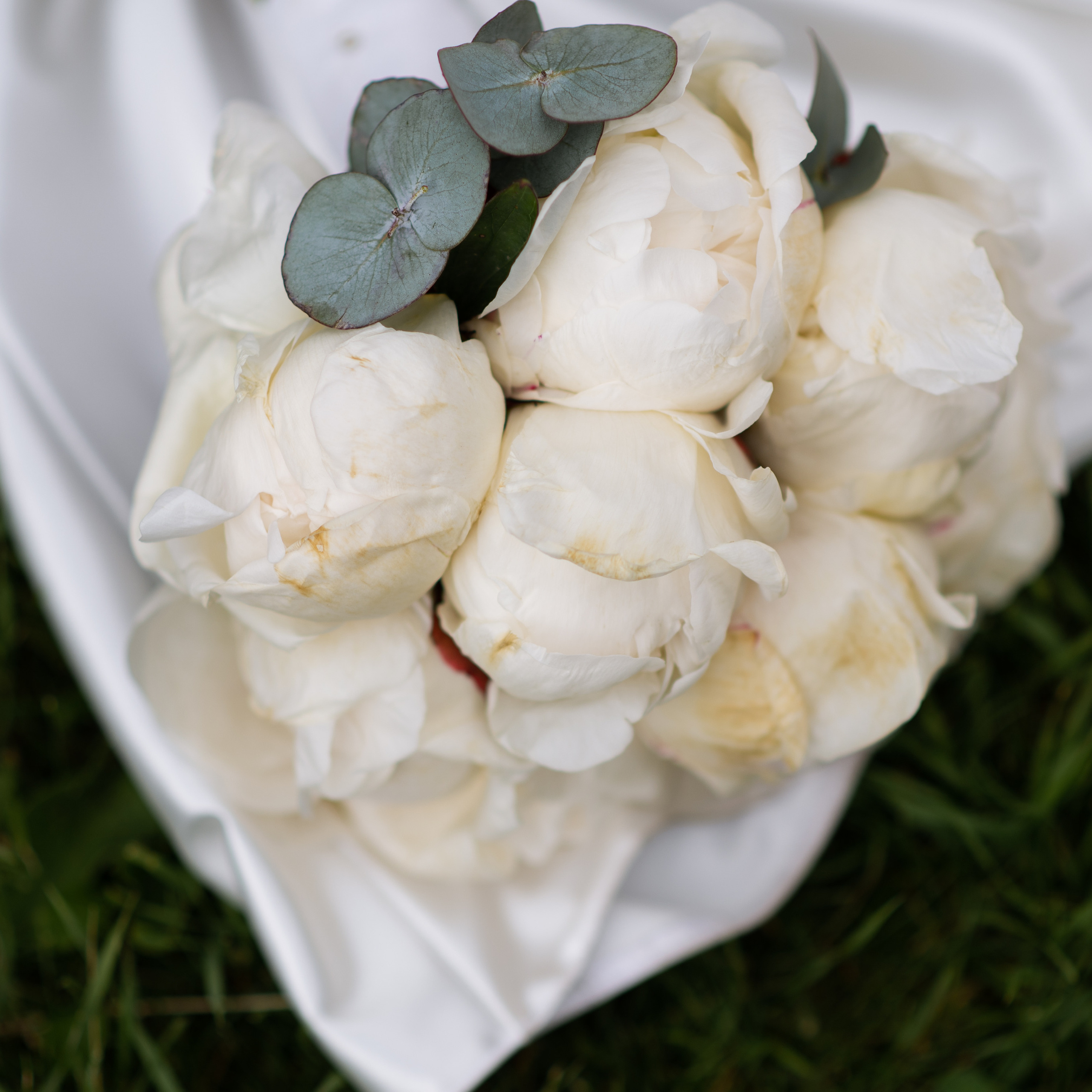 Testimonials. Wedding and commercial photographer