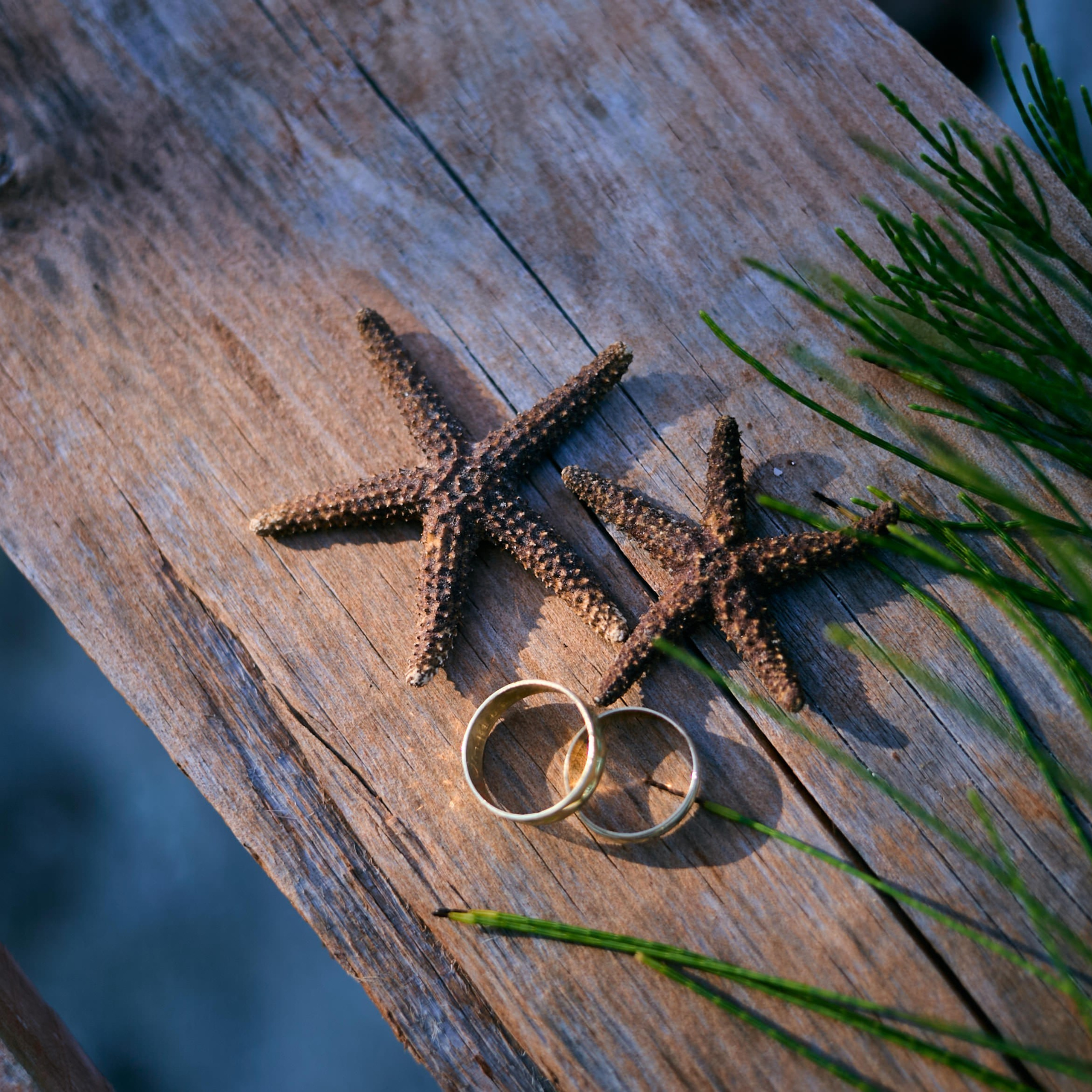 Testimonios. Christian Ku fotógrafo en Mérida, Yucatán