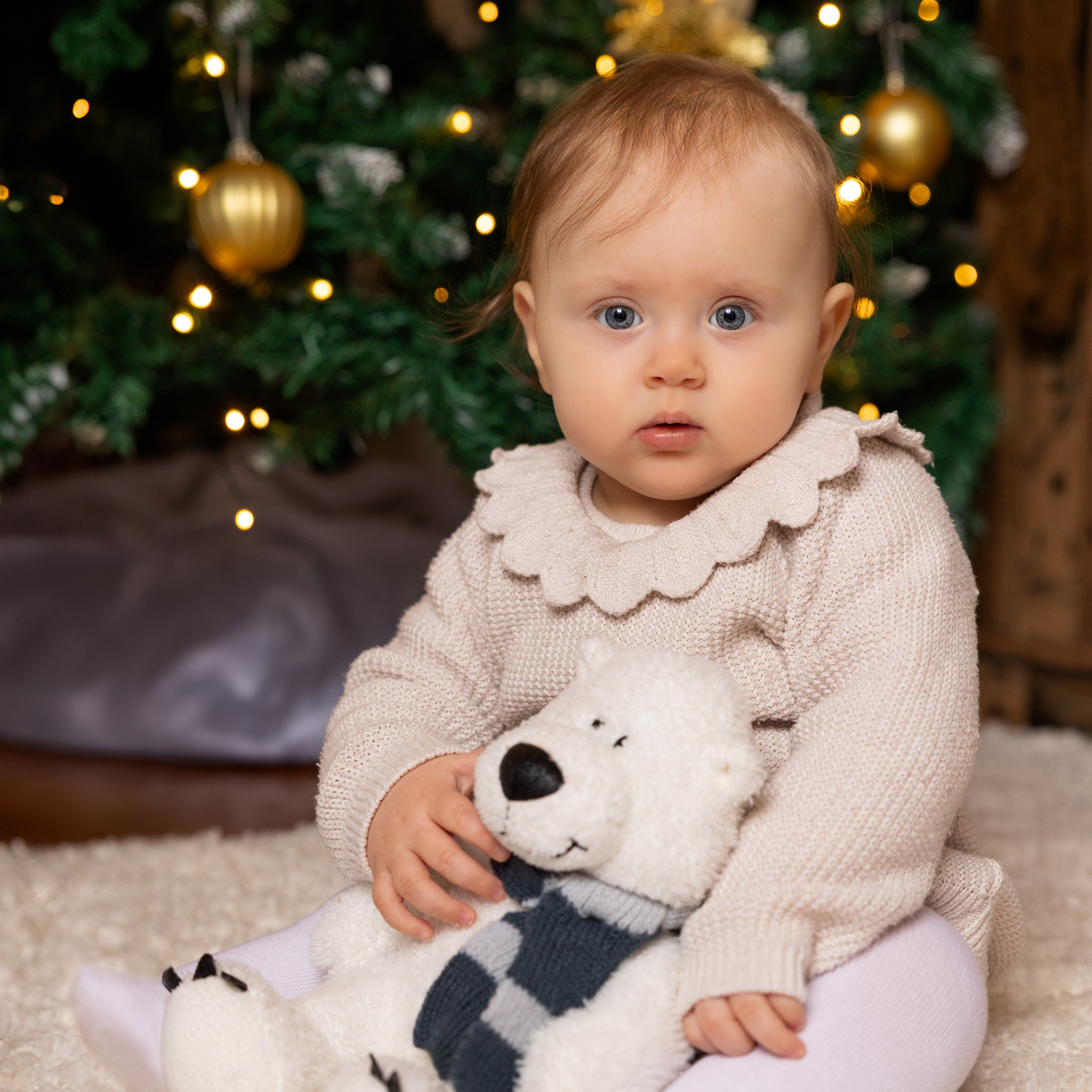 Comments. Photographer, Videomaker, Drone, Padova, Venice, Italy, Elena Radchenko