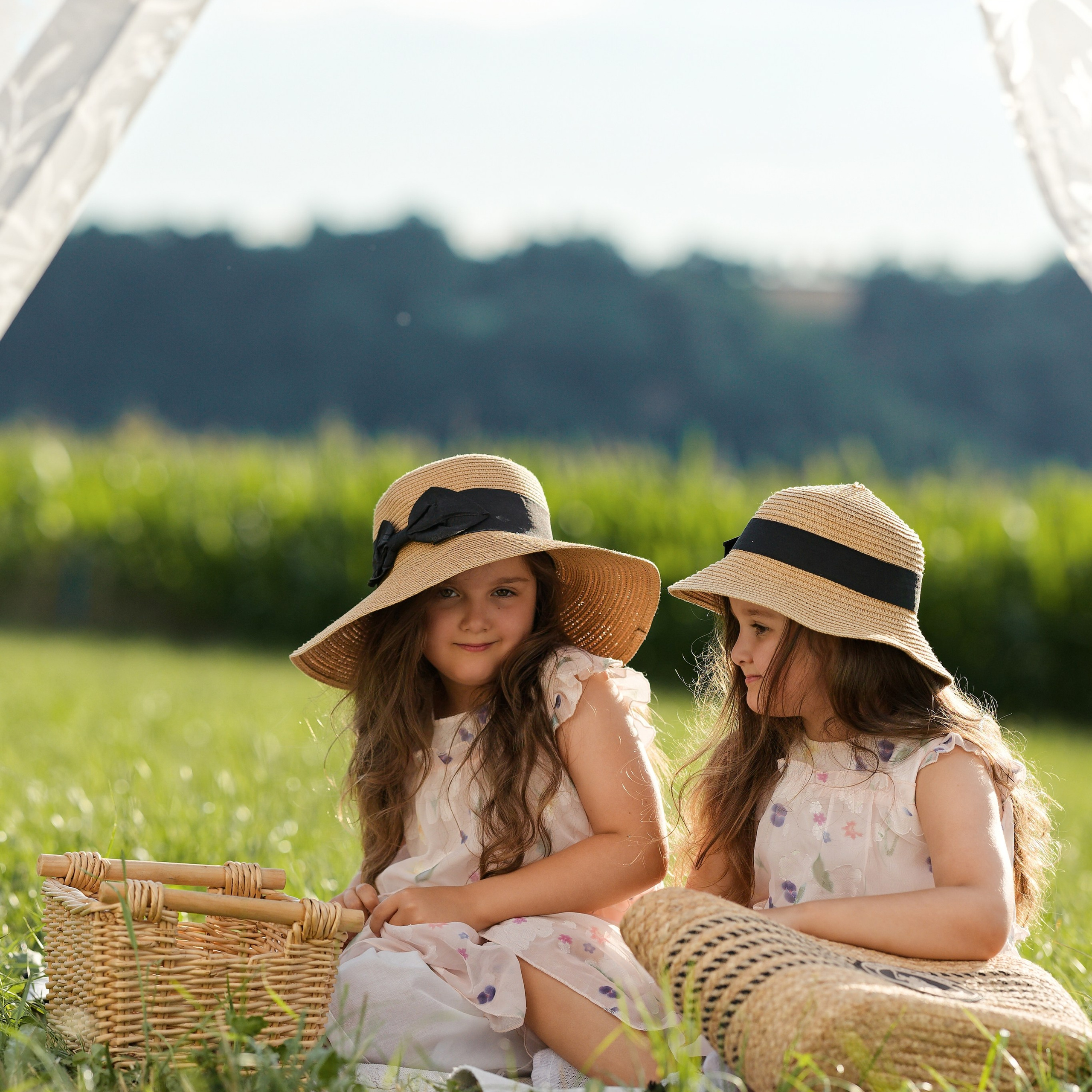 Sommerglück auf dem Feld