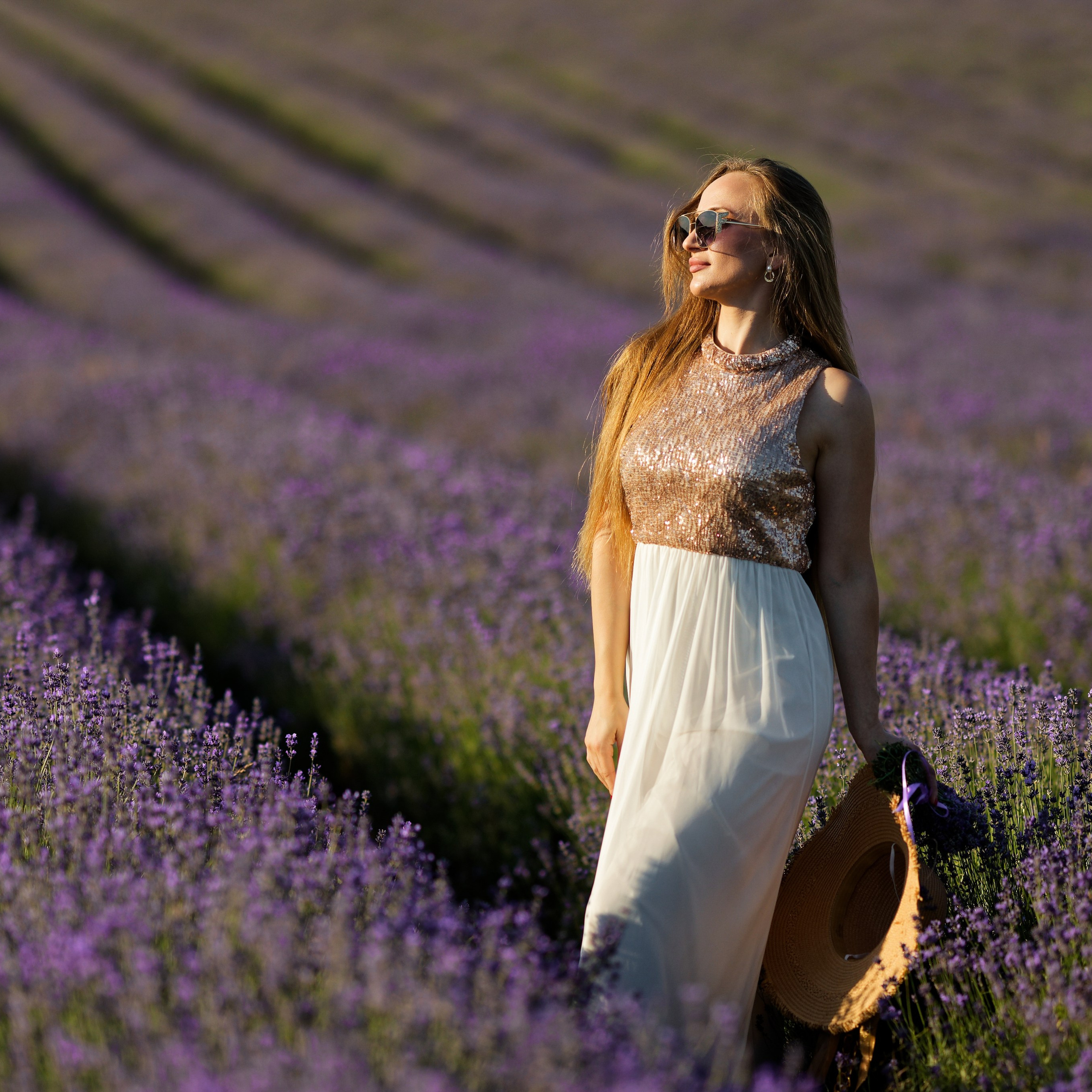 Lavander fild