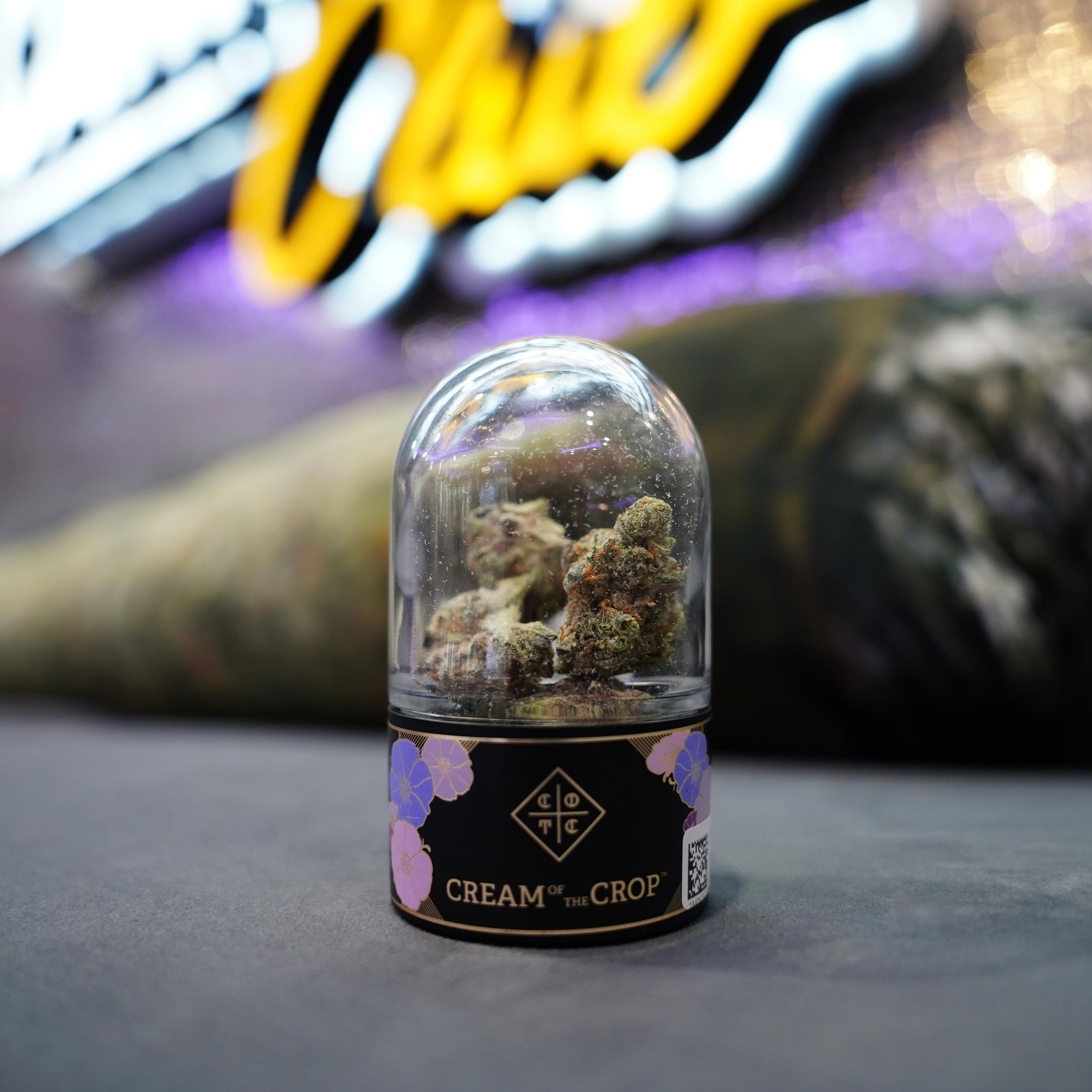 Product photography. Elnitskii Sam — Seattle photographer