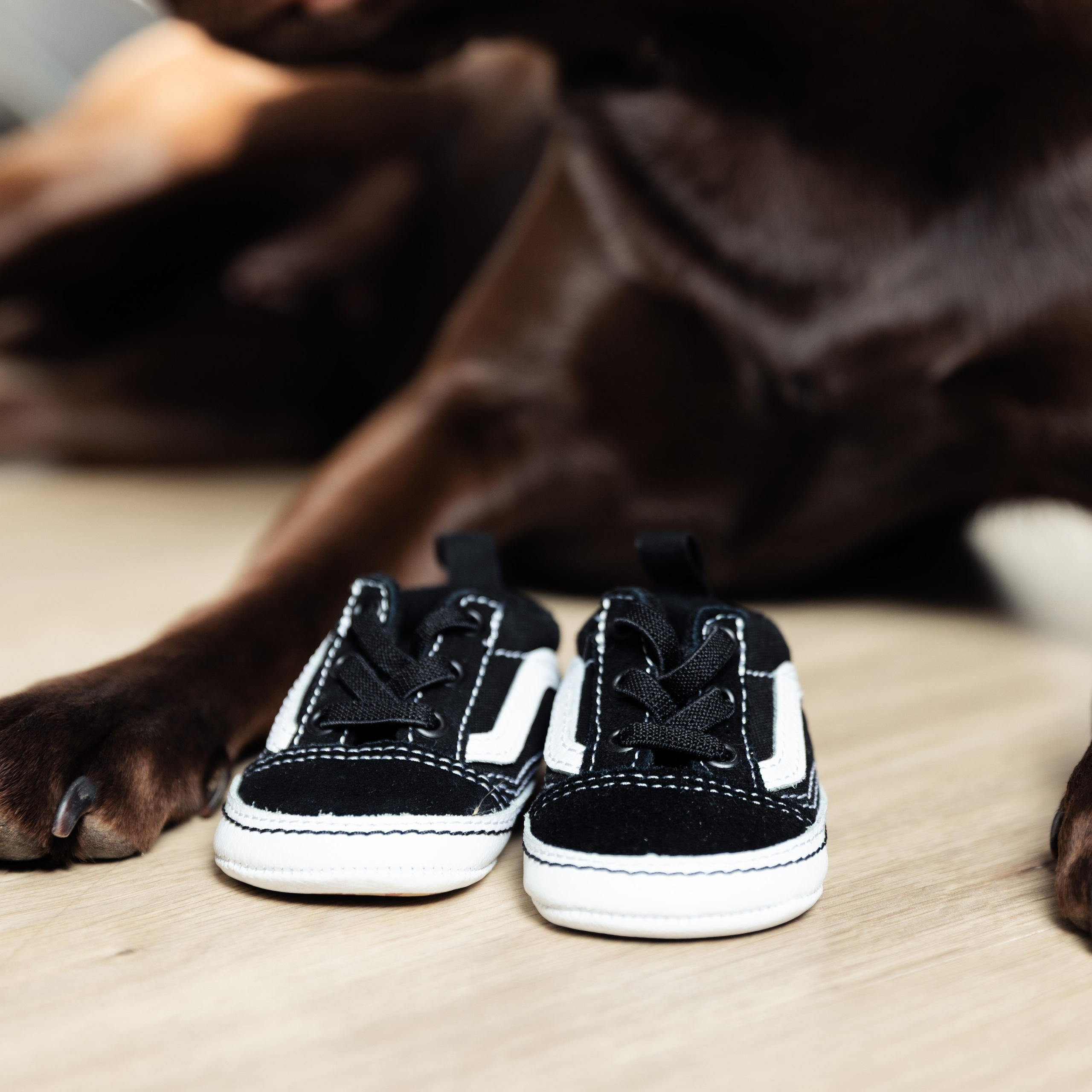 Echte Kundenbewertungen – Fotograf in Aschaffenburg für Hochzeiten, Familien und mehr. Hochzeitsfotograf in Aschaffenburg & Miltenberg – Aus Momenten werden Erinnerungen