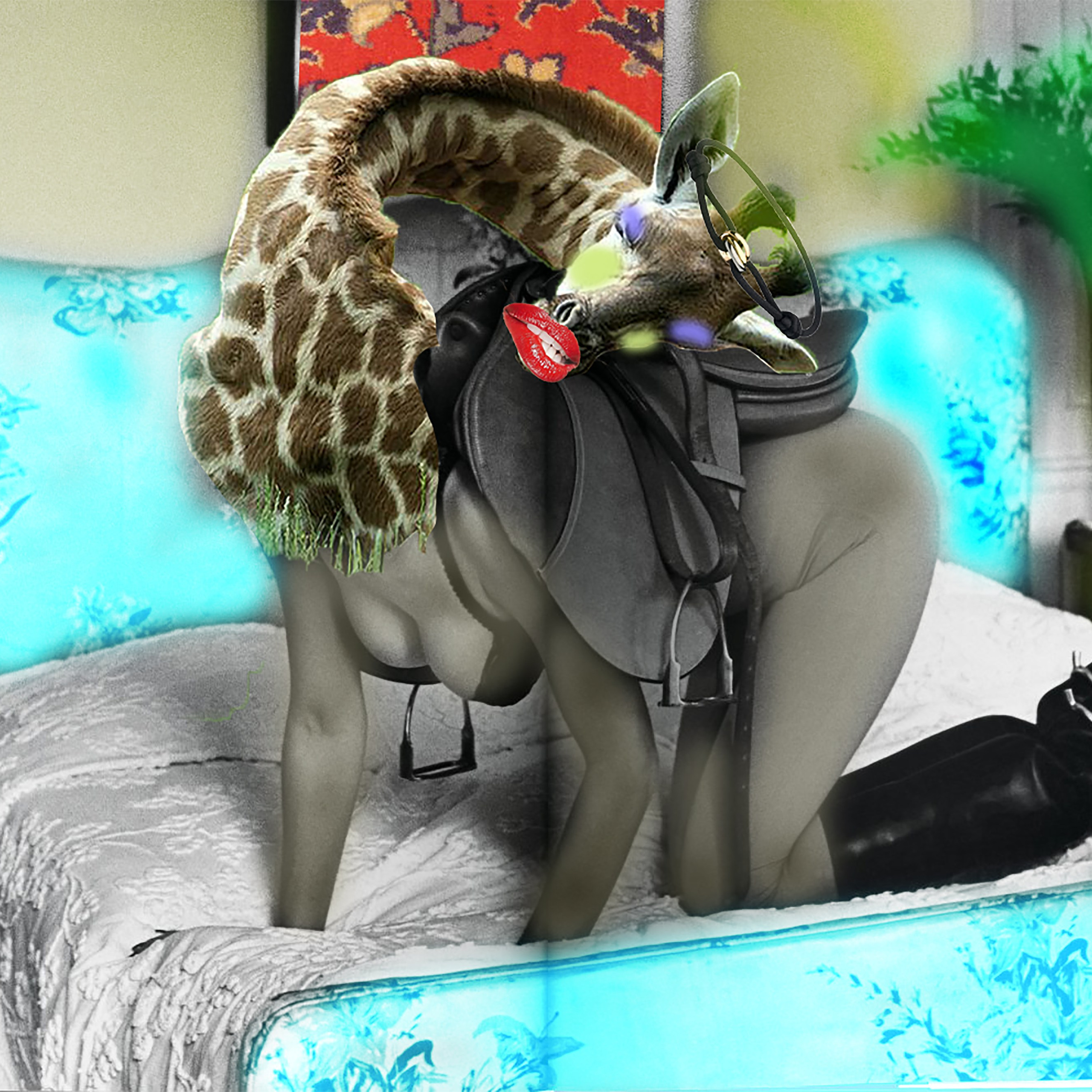 PROTOCOL 006: [INSTITUTIONAL CODE]