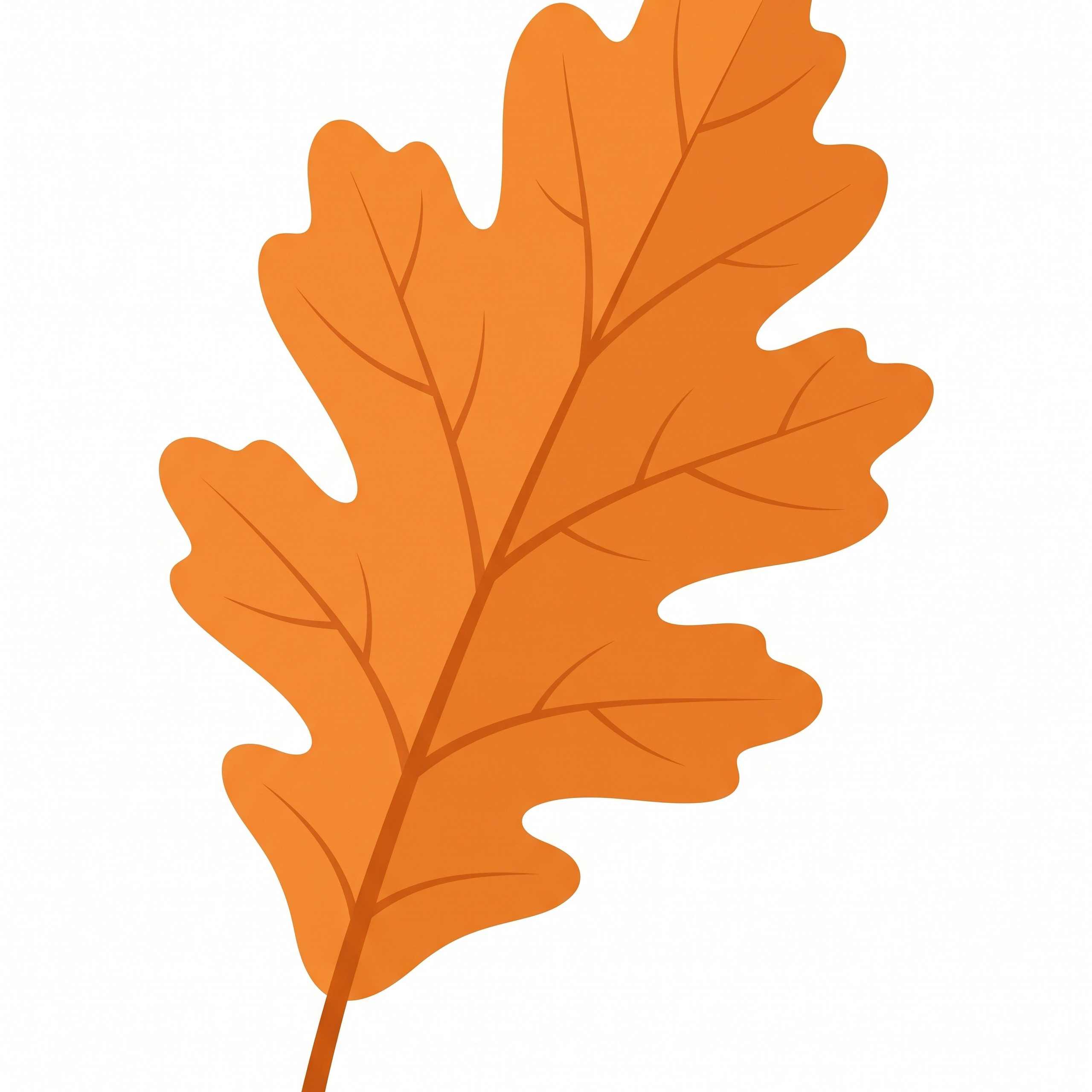 Cute Vector