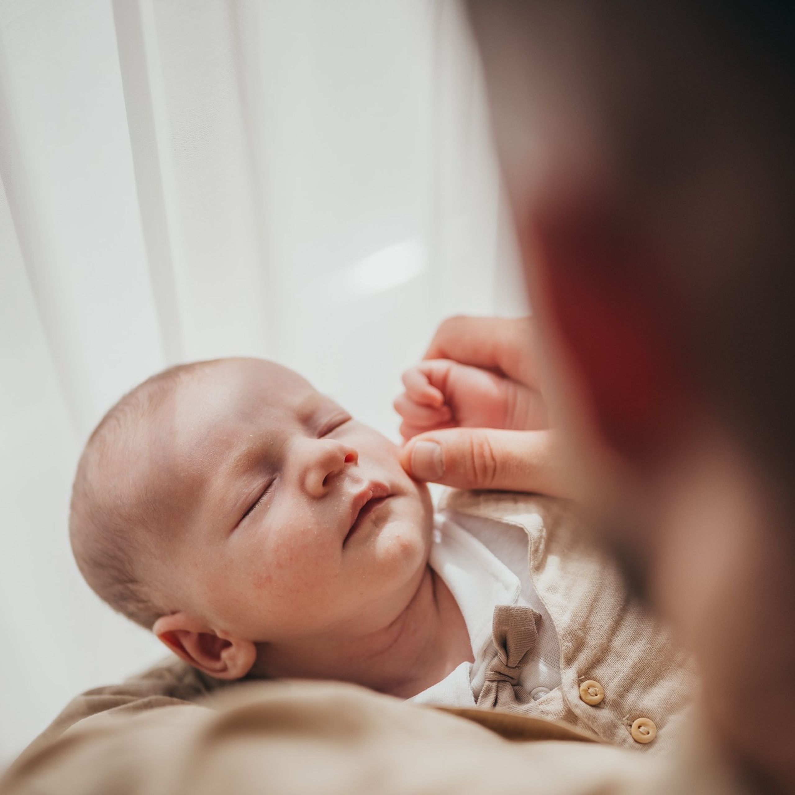 Noah&nbsp;— Baptism in&nbsp;Wortel